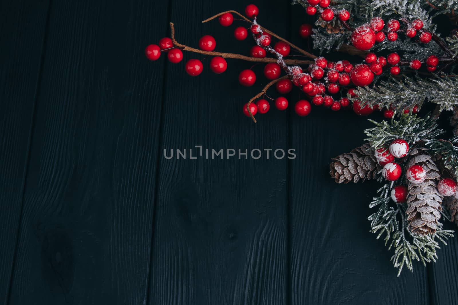 Christmas composition. Fir branches and berries of viburnum on a black background. New Year's composition by yulaphotographer