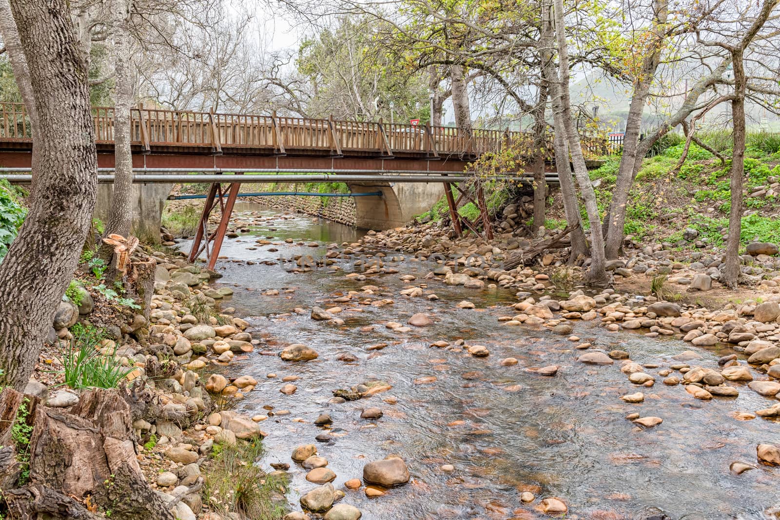 An historic steel and wood pedestrian bridge and a concrete road bridge over the Eerste River in Stellenbosch in the Western Cape Province