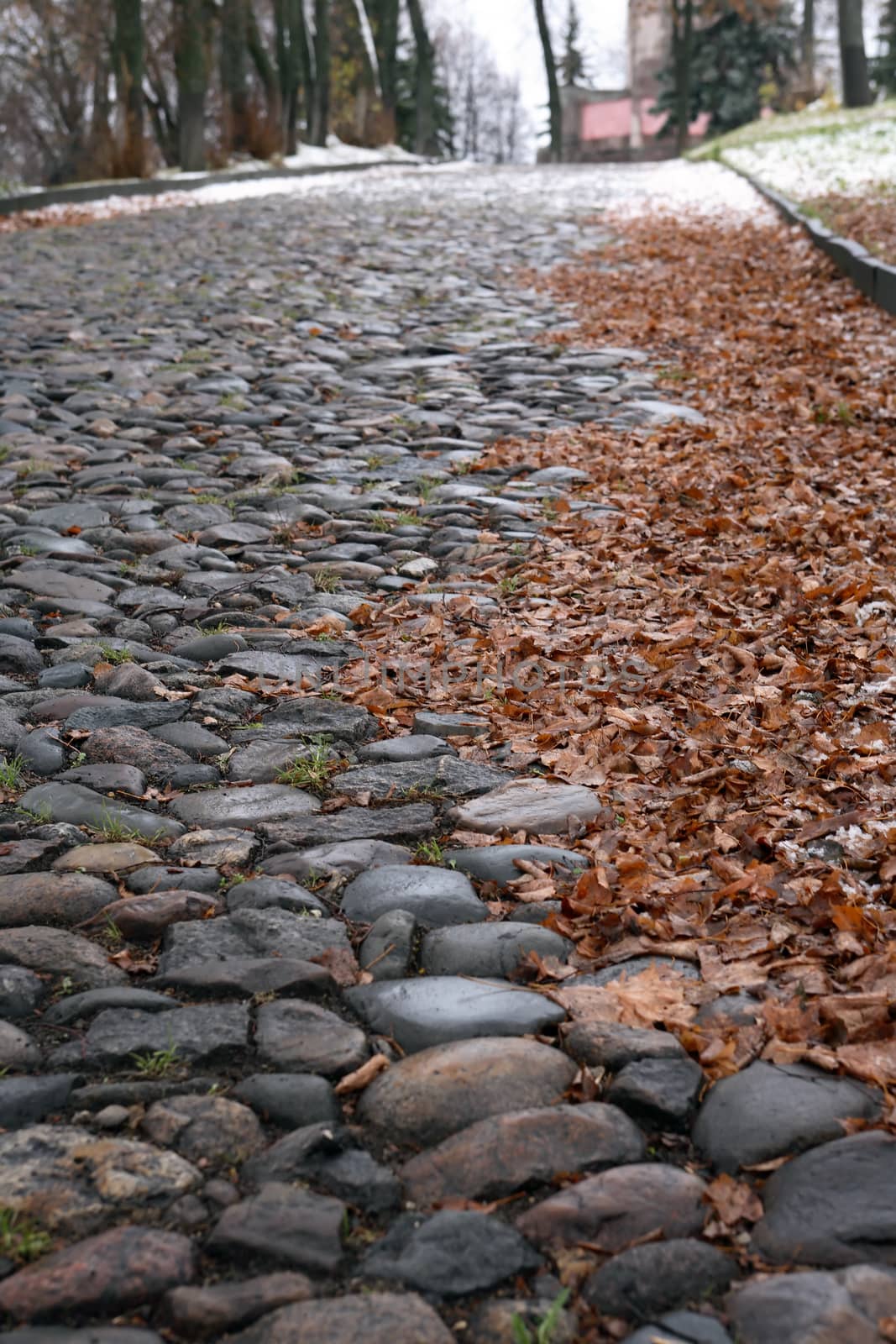 Autumn background. Old empty cobblestone roadway with leaves in provincial town