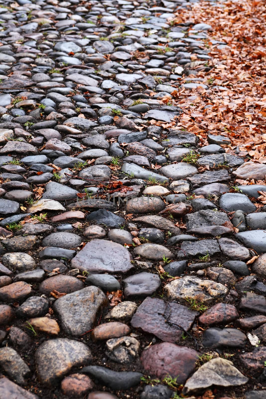 Old Cobblestone Road by kvkirillov