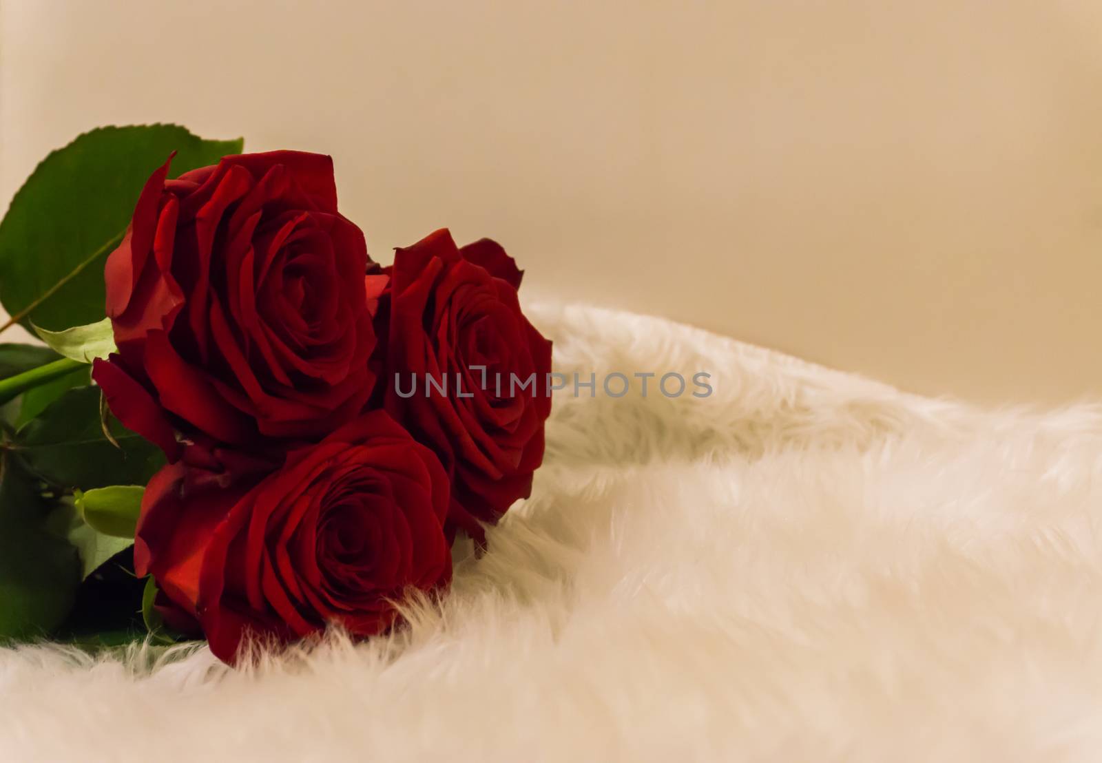 bouquet of red roses laying on a white carpet romantic symbol of love and appreciation on valentines day by charlottebleijenberg