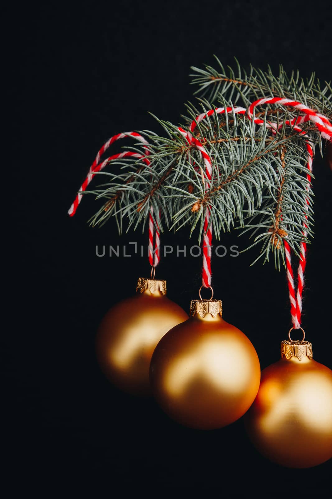 christmas and new year gift-card. branches of fir-tree and decoration with golden balls with red thread on a black background isolated close up by yulaphotographer