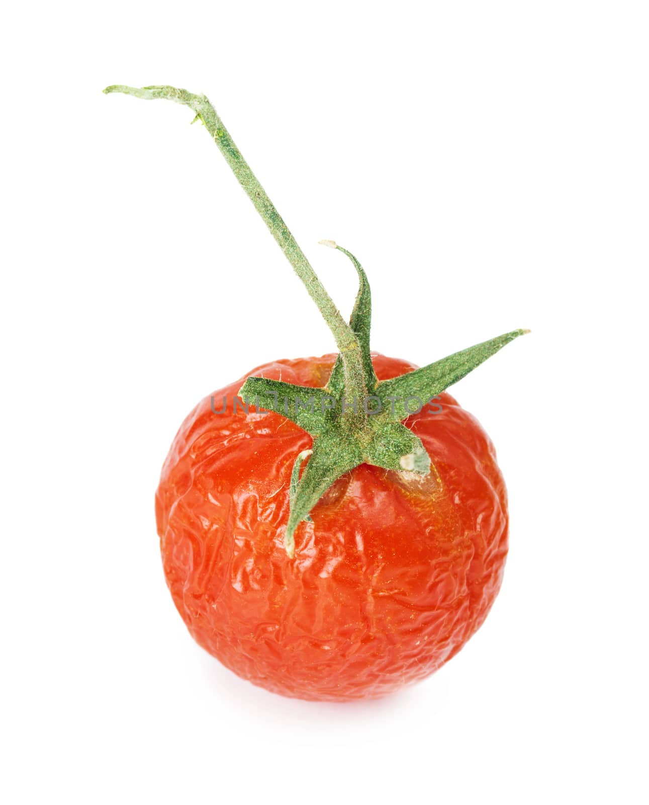 Withered red tomato with shrunken skin on white background