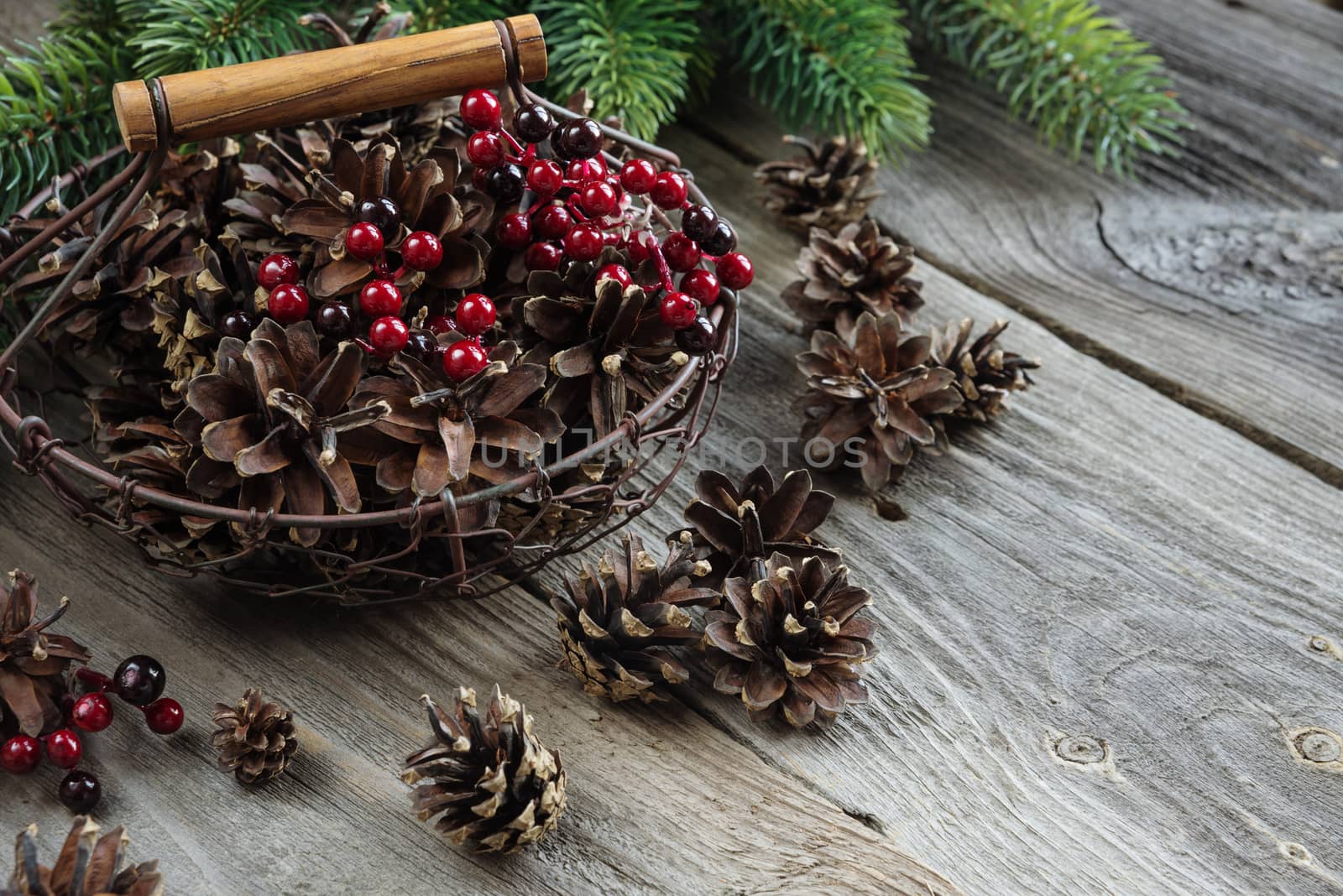 Pine cones in a metal mesh basket by Epitavi