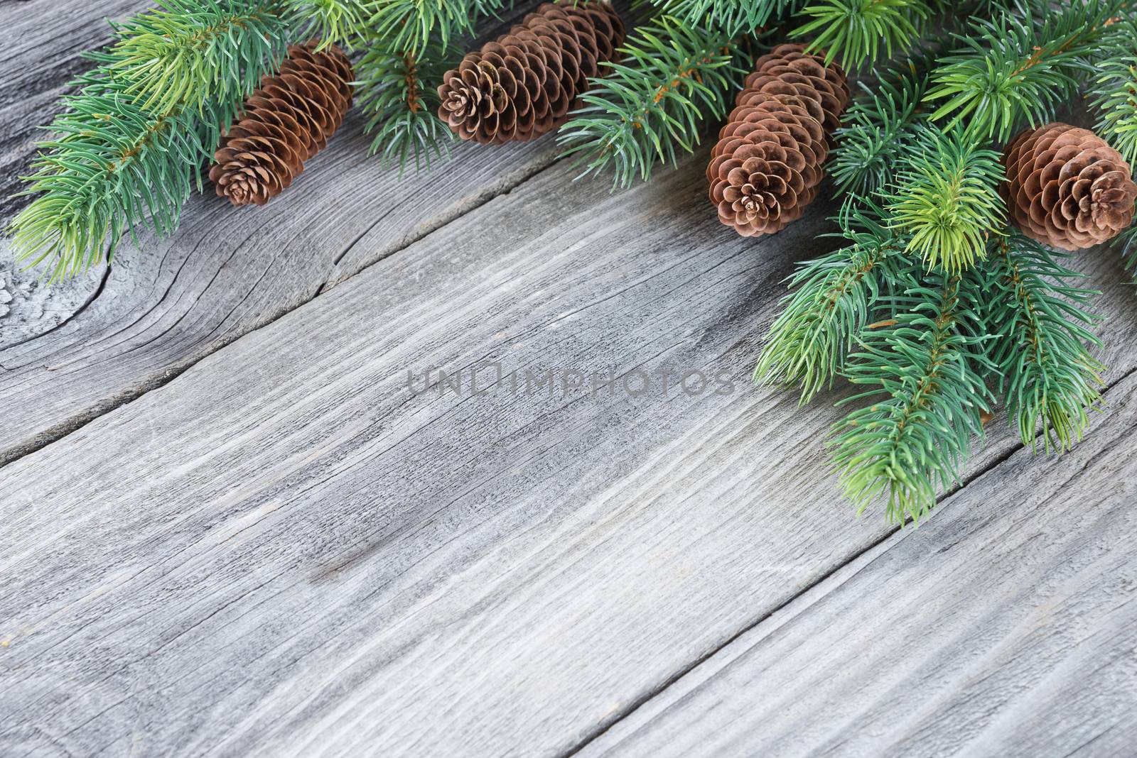 Christmas frame composed of pine cones and spruce branches on the background of old unpainted wooden boards; with copy-space