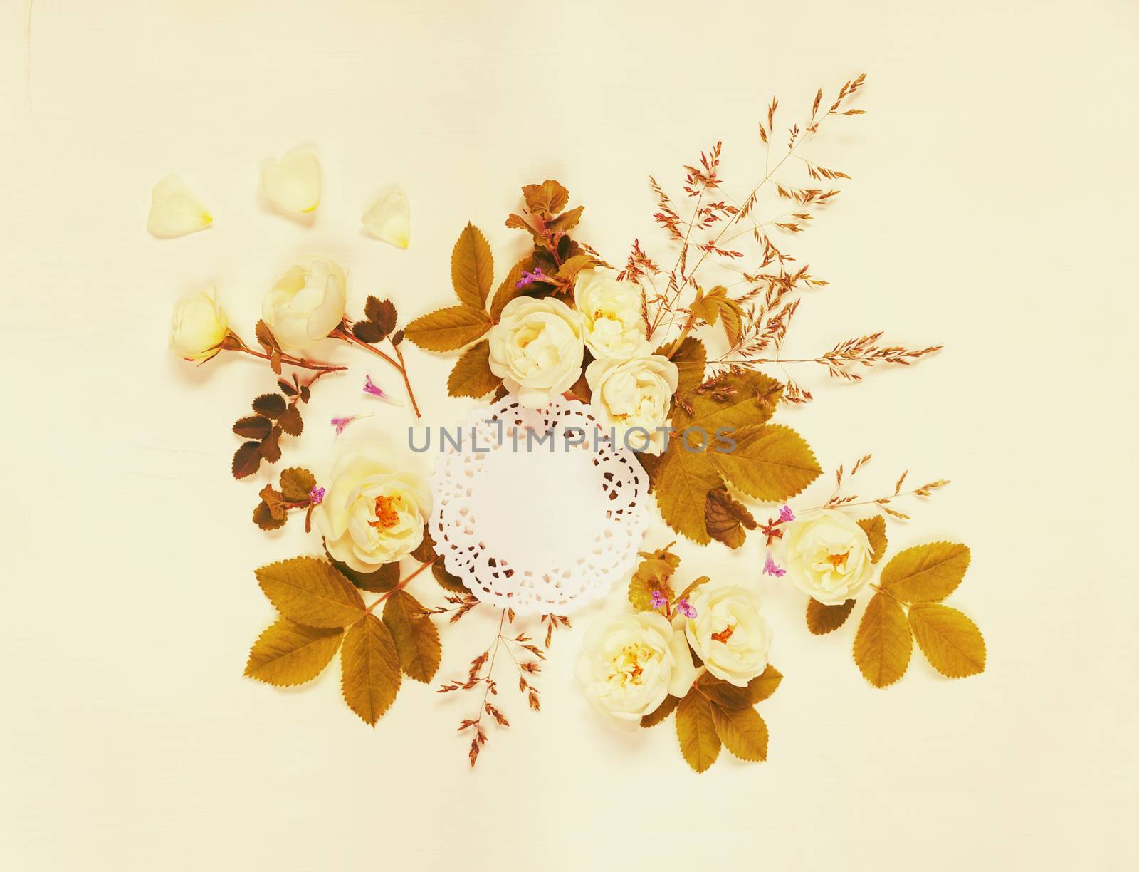 Decorative composition in retro style consisting of round white paper openwork doily and white wild rose flowers with green leaves on white background. Top view, flat lay. Mocap. Toned image