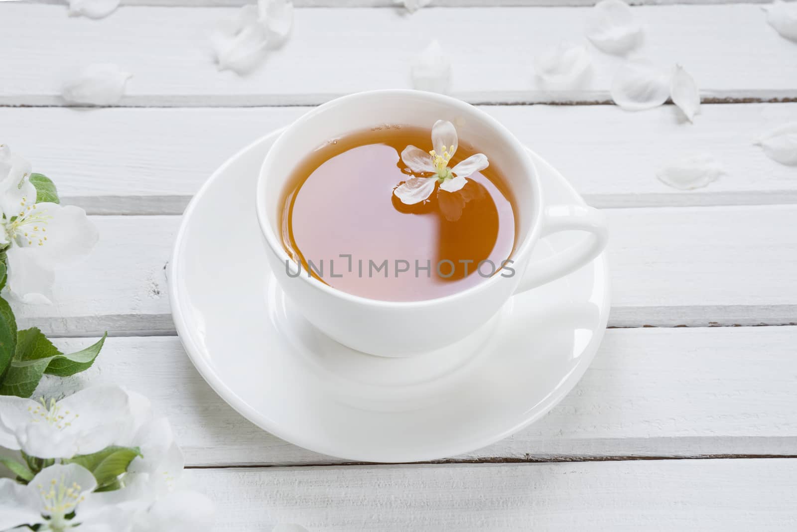 White porcelain cup cup of green tea and apple-tree flowers on an old white wooden shabby background