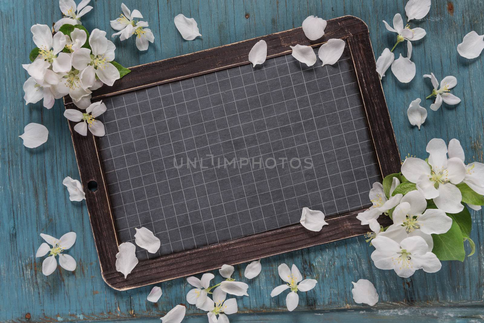 Vintage blank chalkboard or school slate is on an old blue rustic wooden background with white apple flowers, with space for text or message