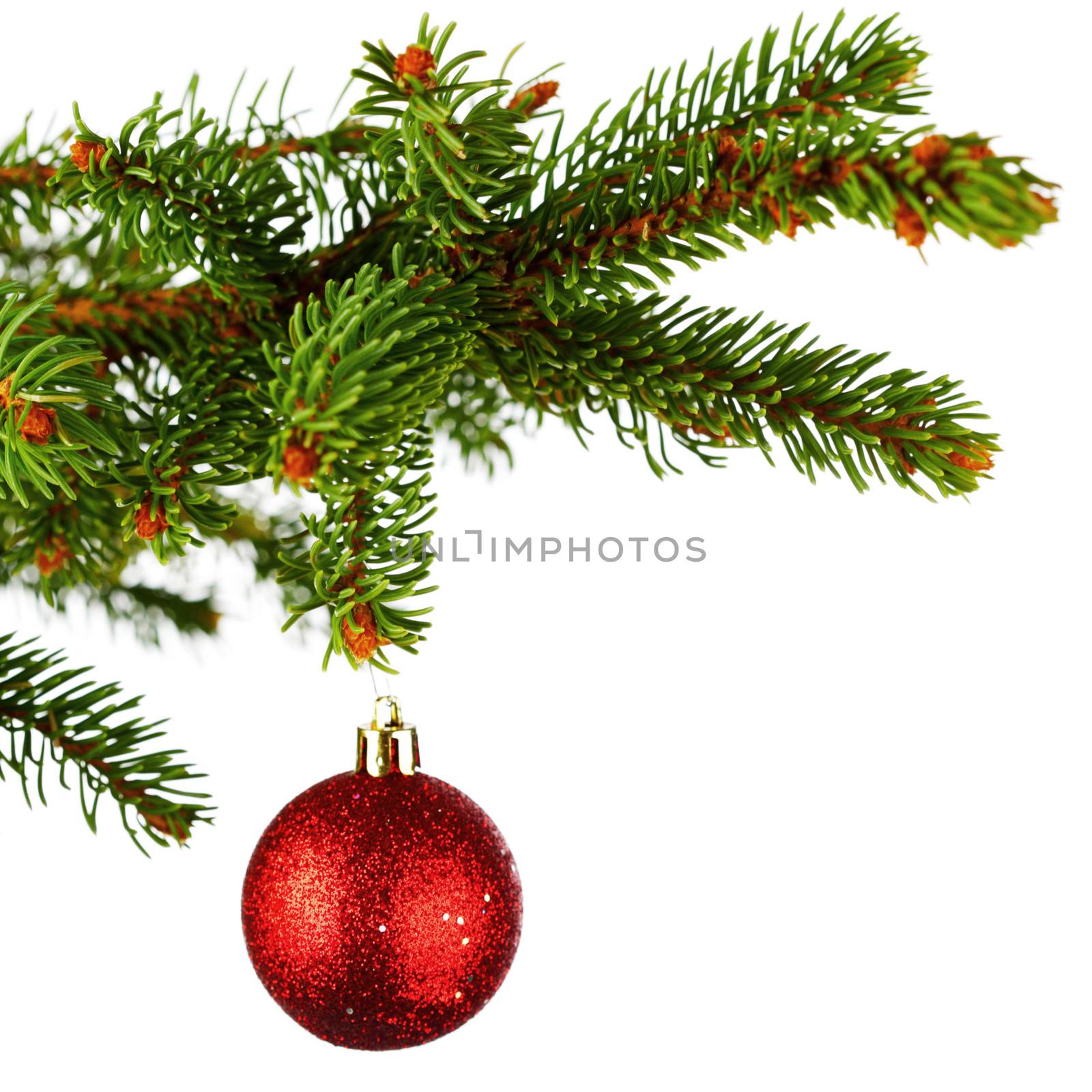 Christmas tree branch with ball by Yellowj