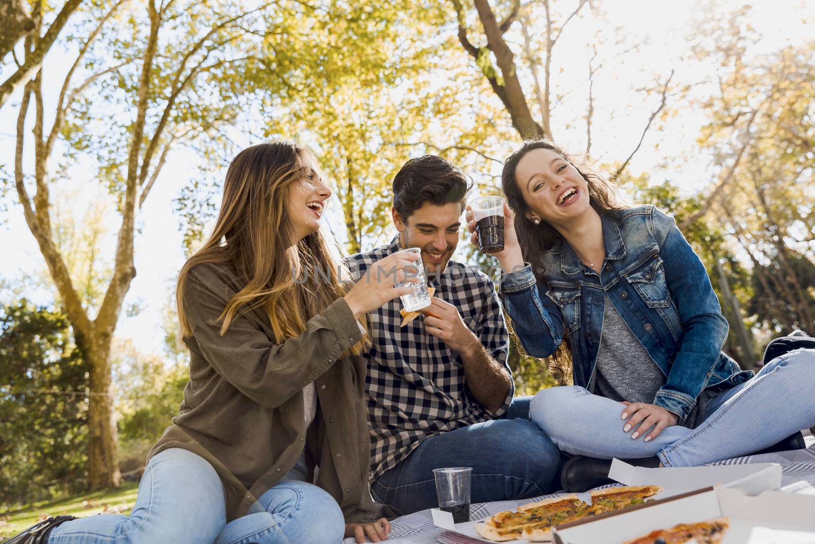 Friends at the park making a picnic