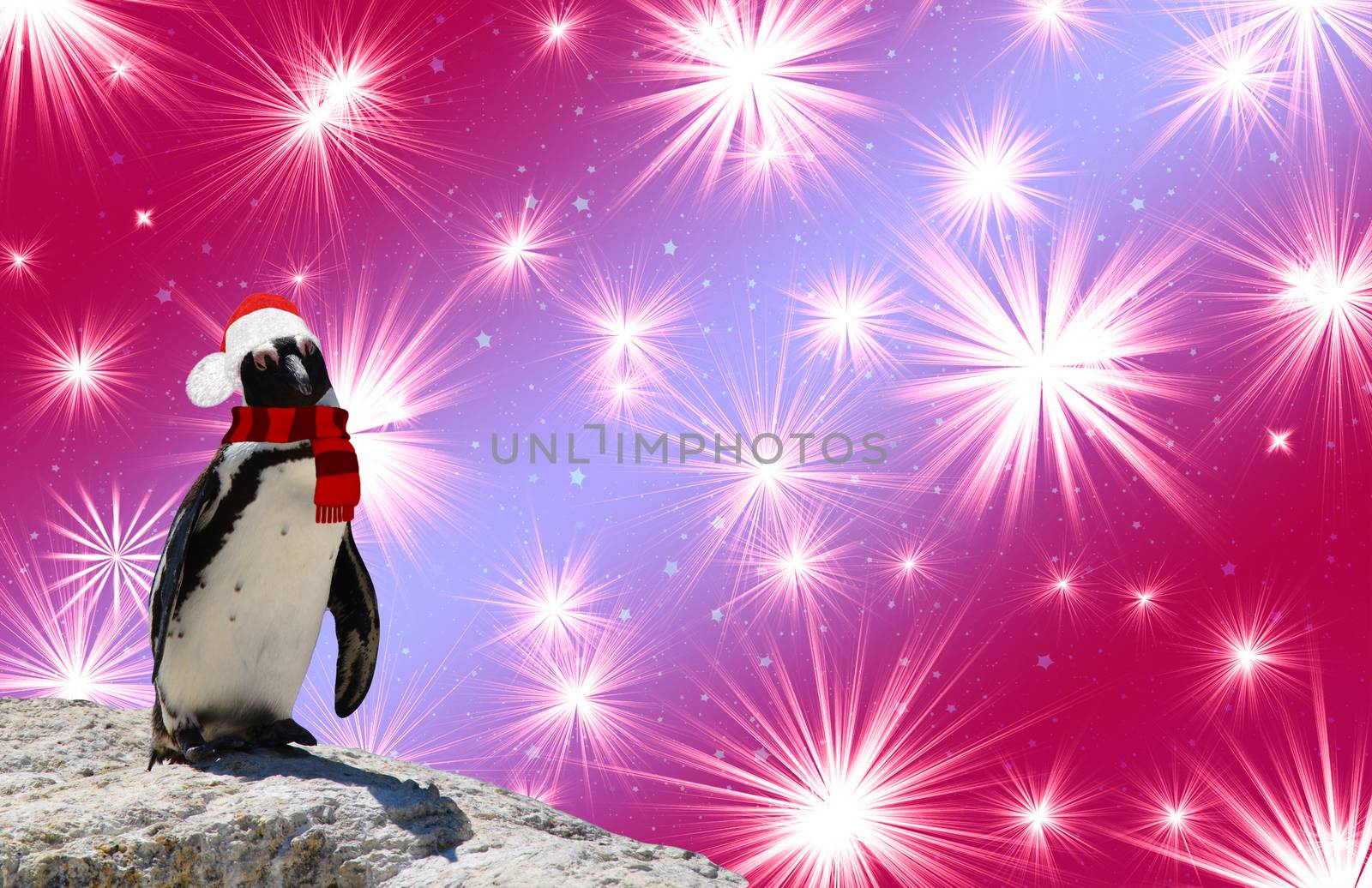 Merry christmas a funny penguin wearing a shawl and santa claus hat isolated on a colorful background with shiny stars