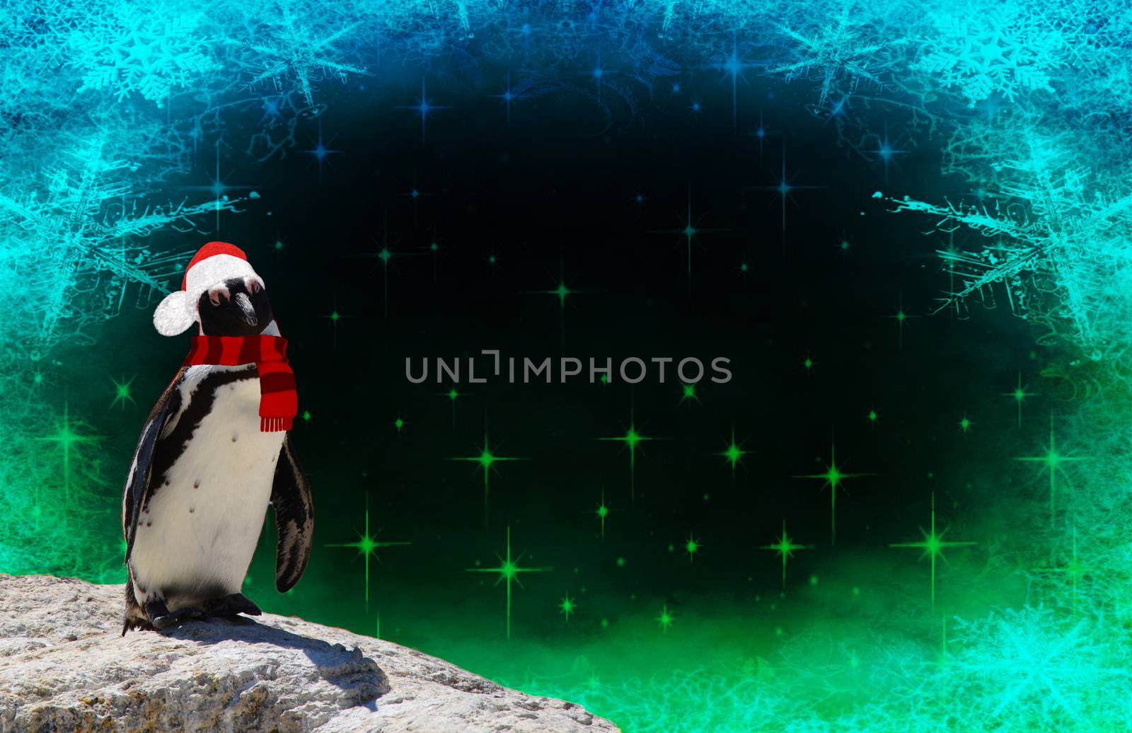 Merry christmas a funny penguin dressed in a shawl and santa claus bonnet isolated on a frozen background with snow flakes and stars by charlottebleijenberg