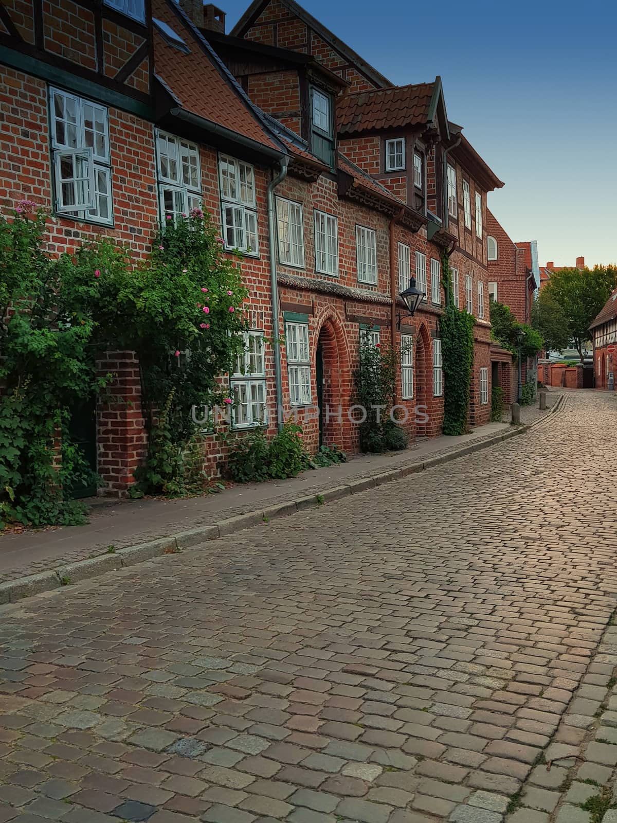 Half-timbered red brick houses in Lueneburg      by JFsPic
