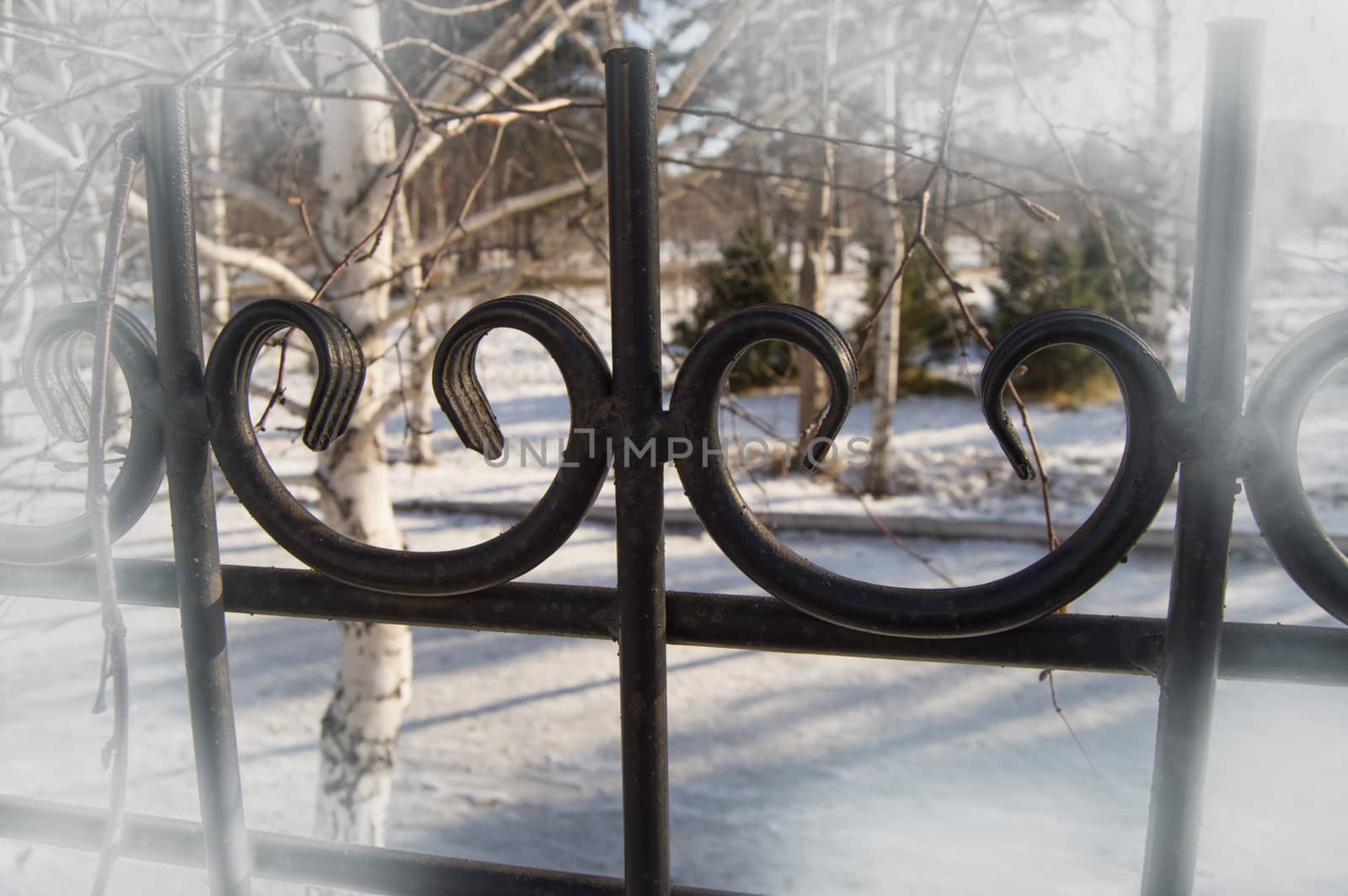 Beautiful decorative cast-iron fence, the with the vignette effect on the background of snow and trees.