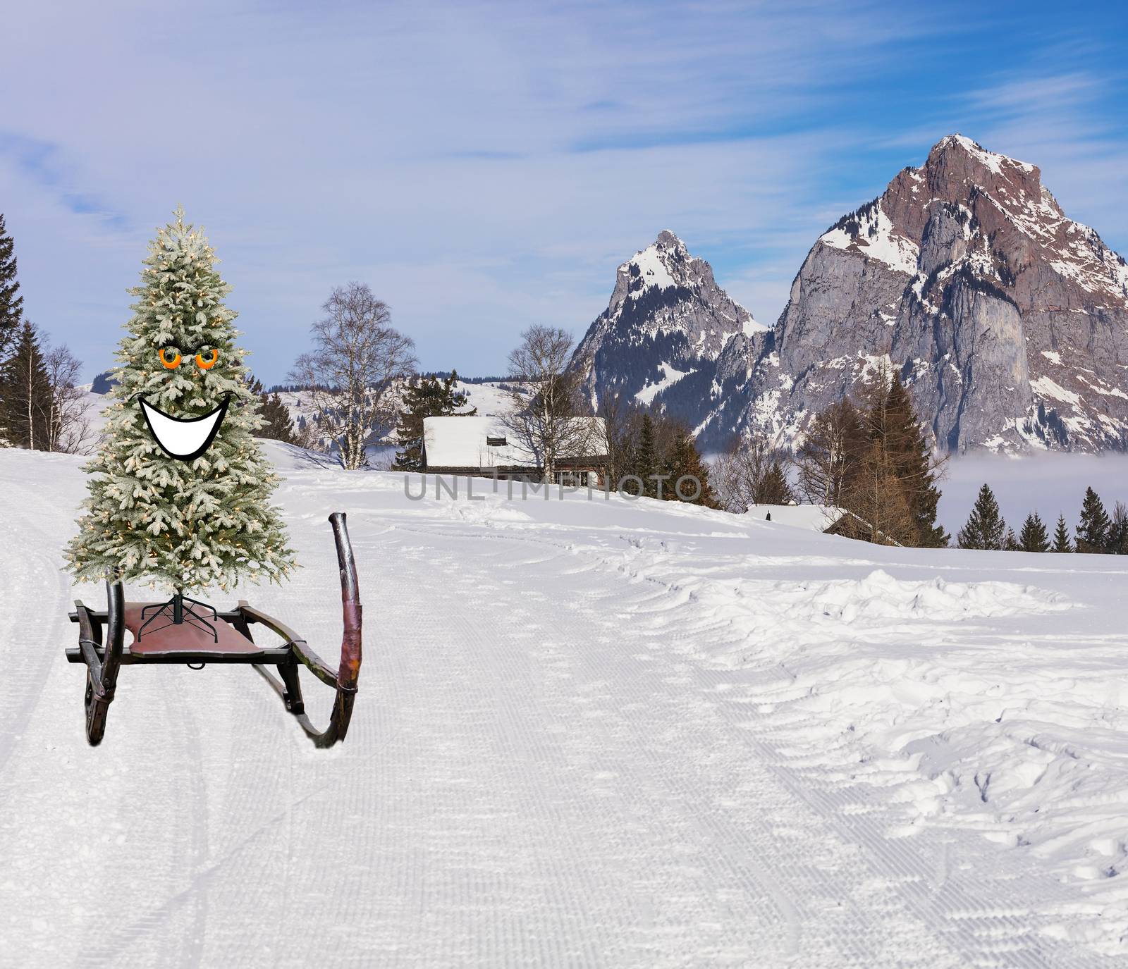 funny happy and smiling christmas tree sliding down the ski hill slope on a sledge on a winter mountain landscape by charlottebleijenberg