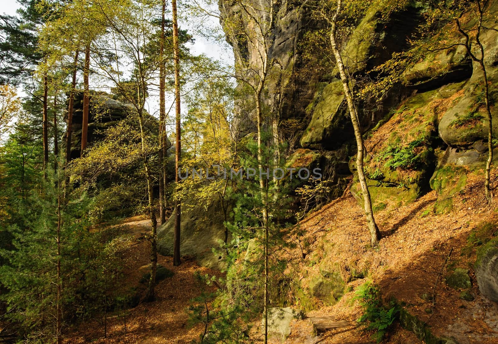 Autumn landscape - rocks, forests - all beautifully colored