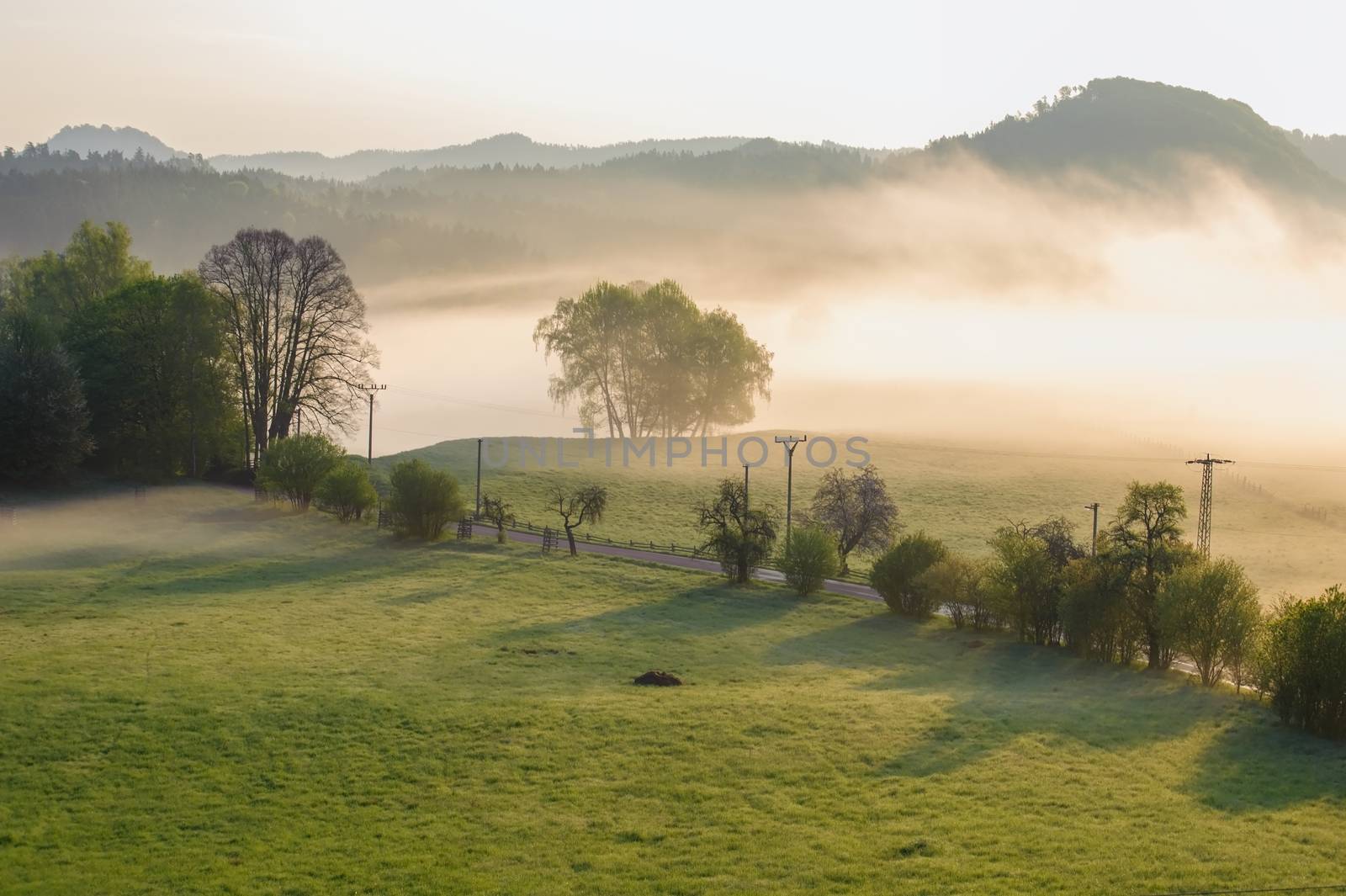 Autumn landscape with hills and forests in sunny morning mist