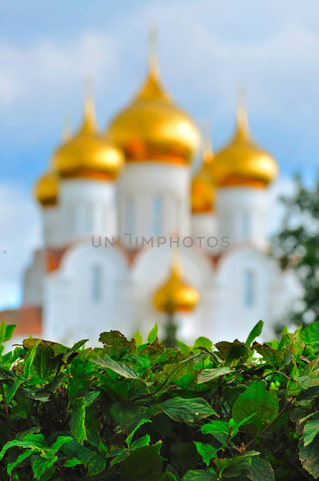 Assumption orthodox Cathedral with golden domes, Yaroslavl, Russia by Eagle2308