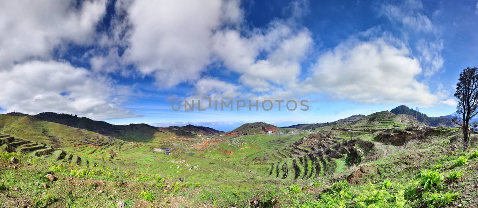 Green hills with blue sky on mountain plateau, Panorama in Tenerife, Canarian Islands