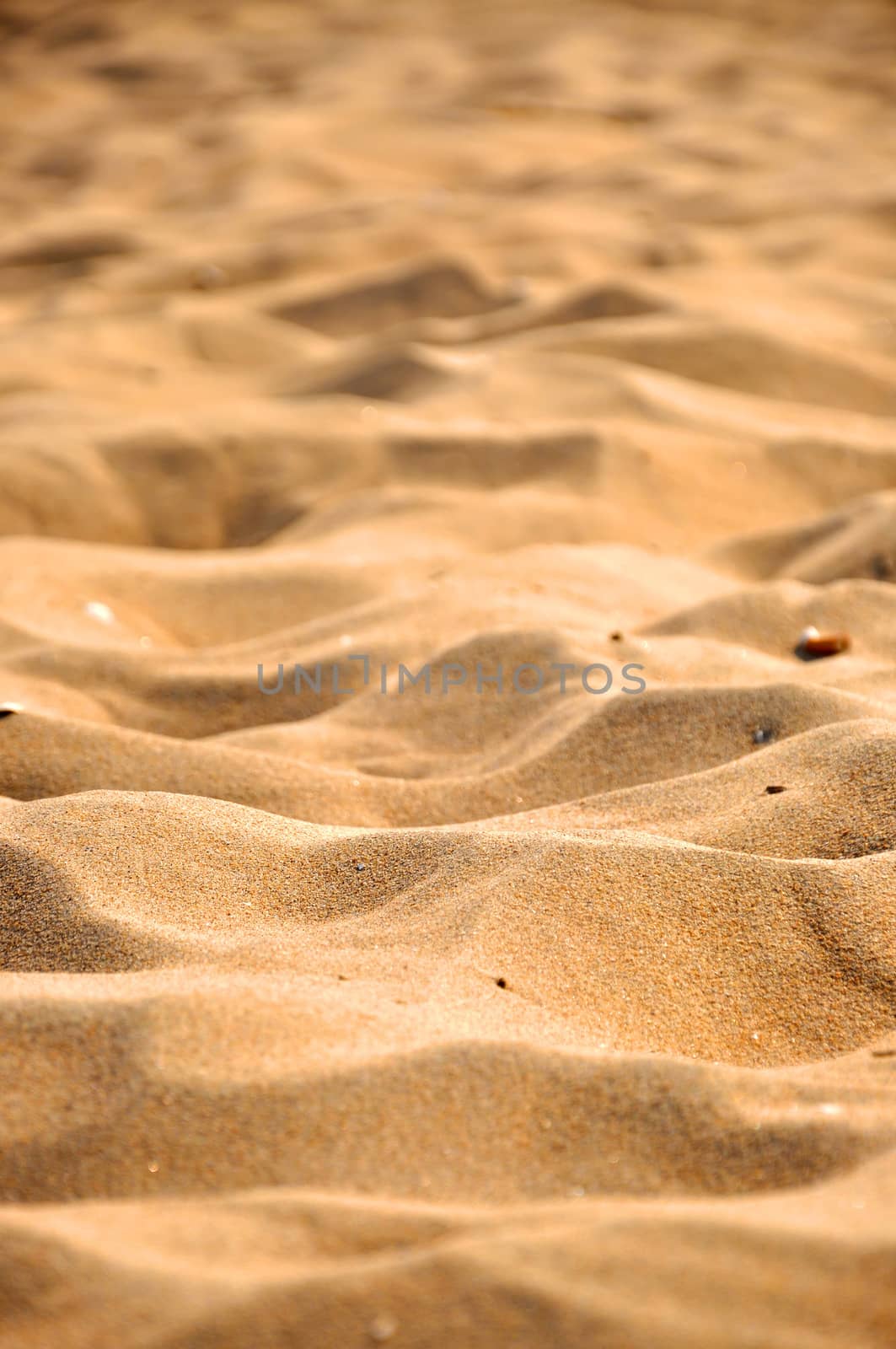 Yellow sand background texture on sea beach.