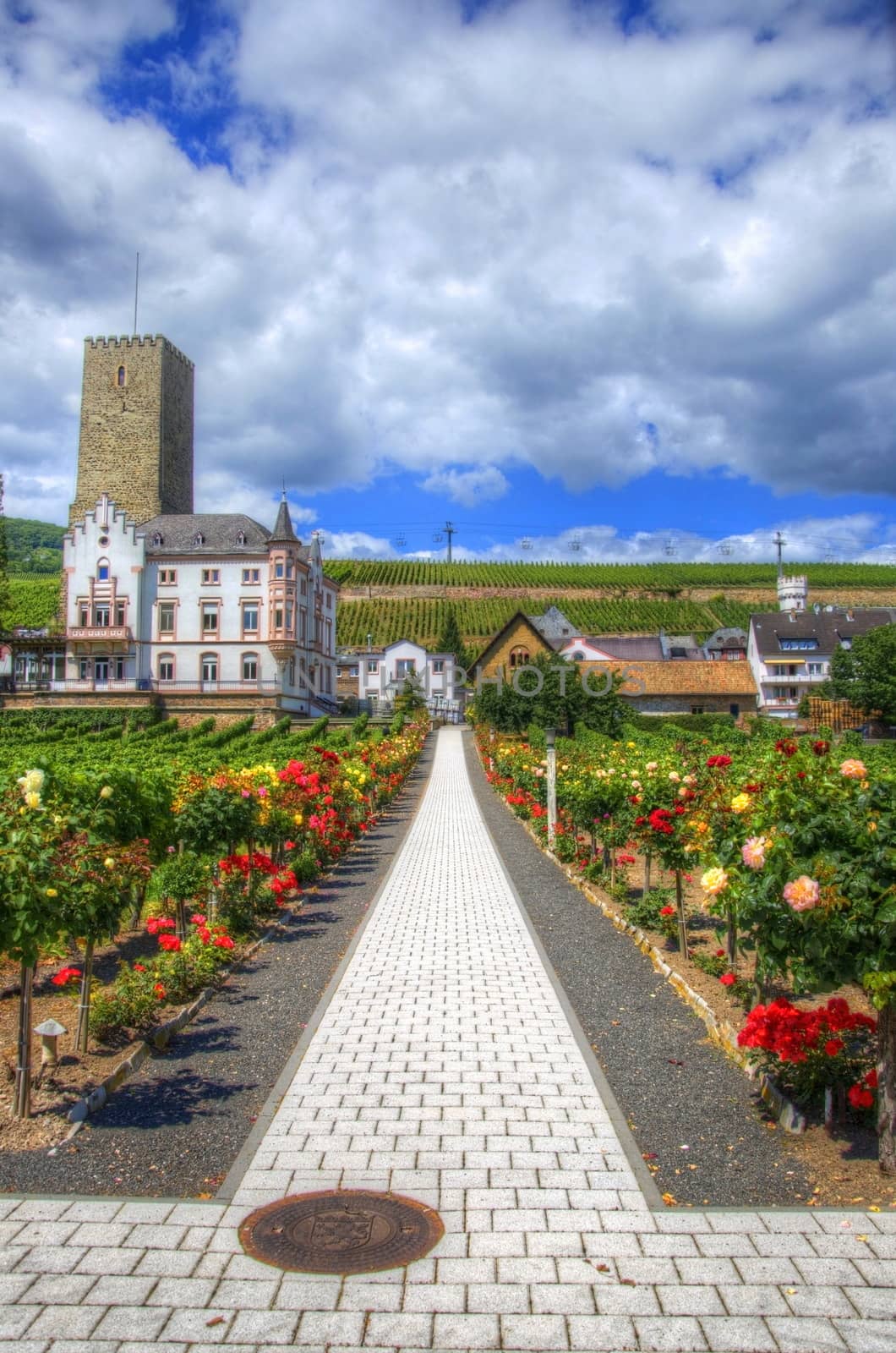 Footpath with flowers in Ruedesheim, Rhein-main-pfalz, Germany.