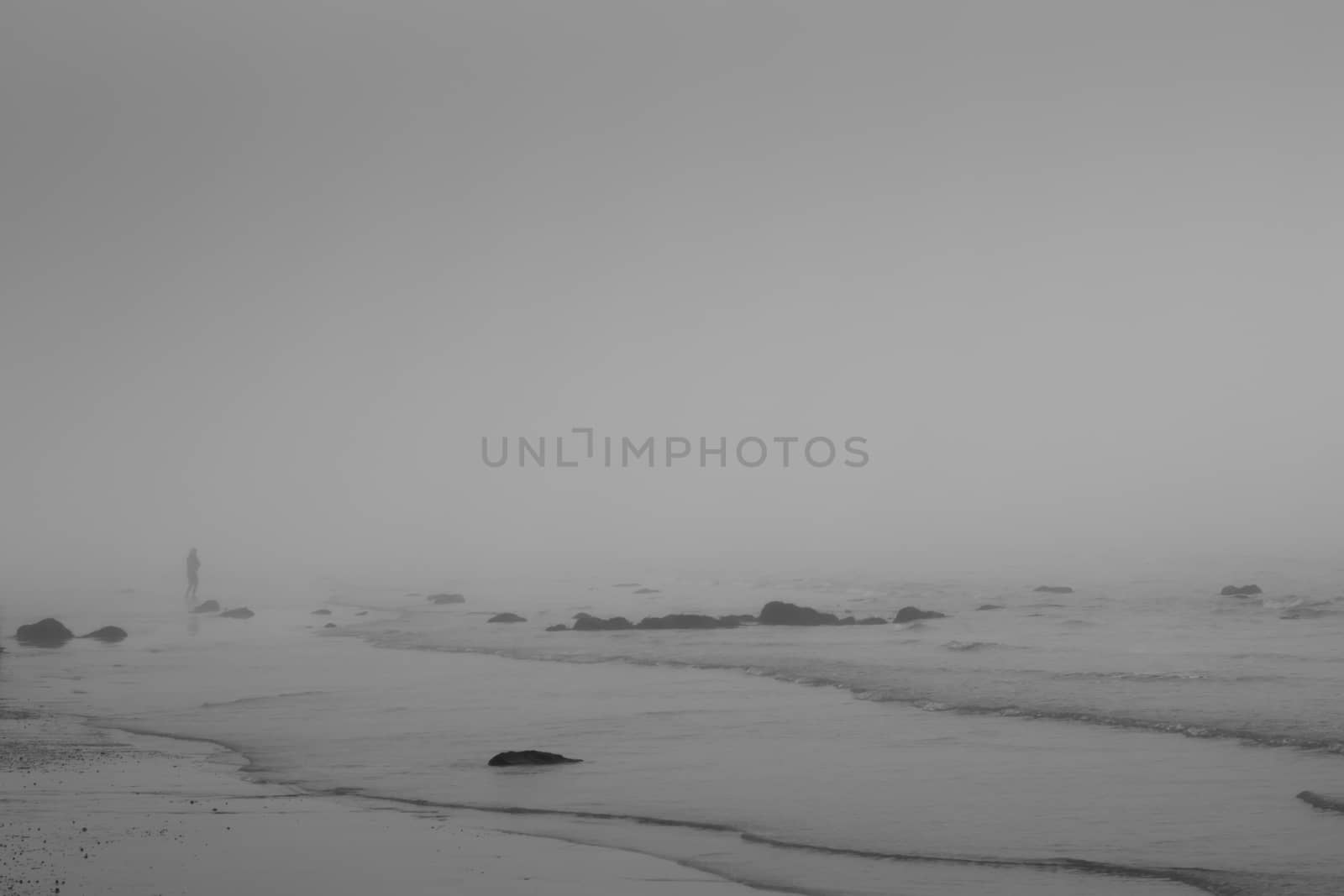 Alone on a misty winter beach by ernest_davies