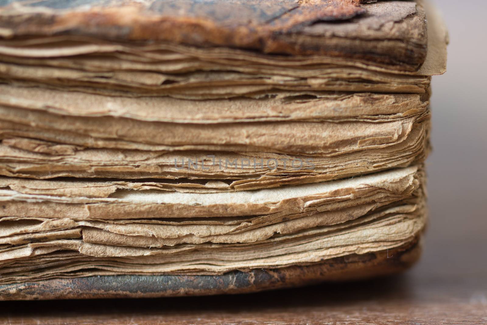 Closeup of an old vintage book with destressed wrinkled pages