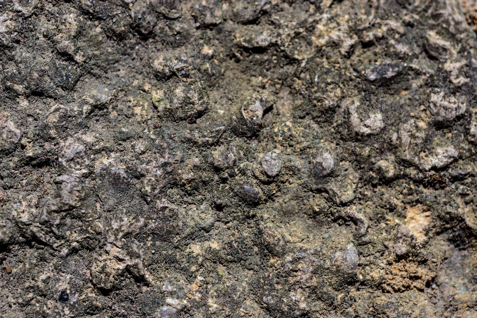 Rock Textured stone by ernest_davies