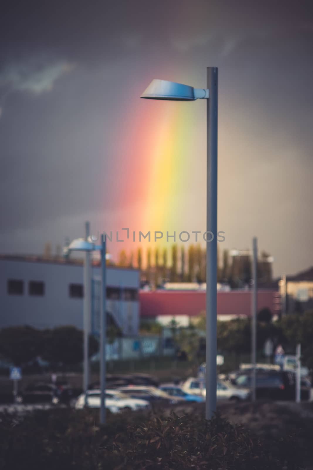 Streetlight illuminating with rainbow colors by mikelju