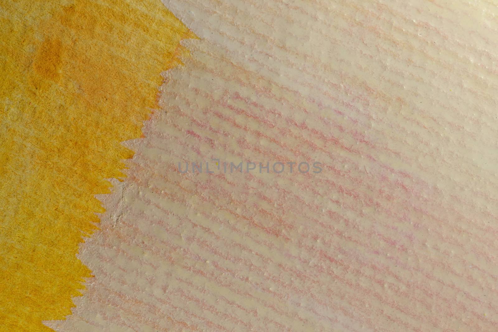 Abstract aquarelle hand drawn art on white background, Watercolor grunge texture backdrop