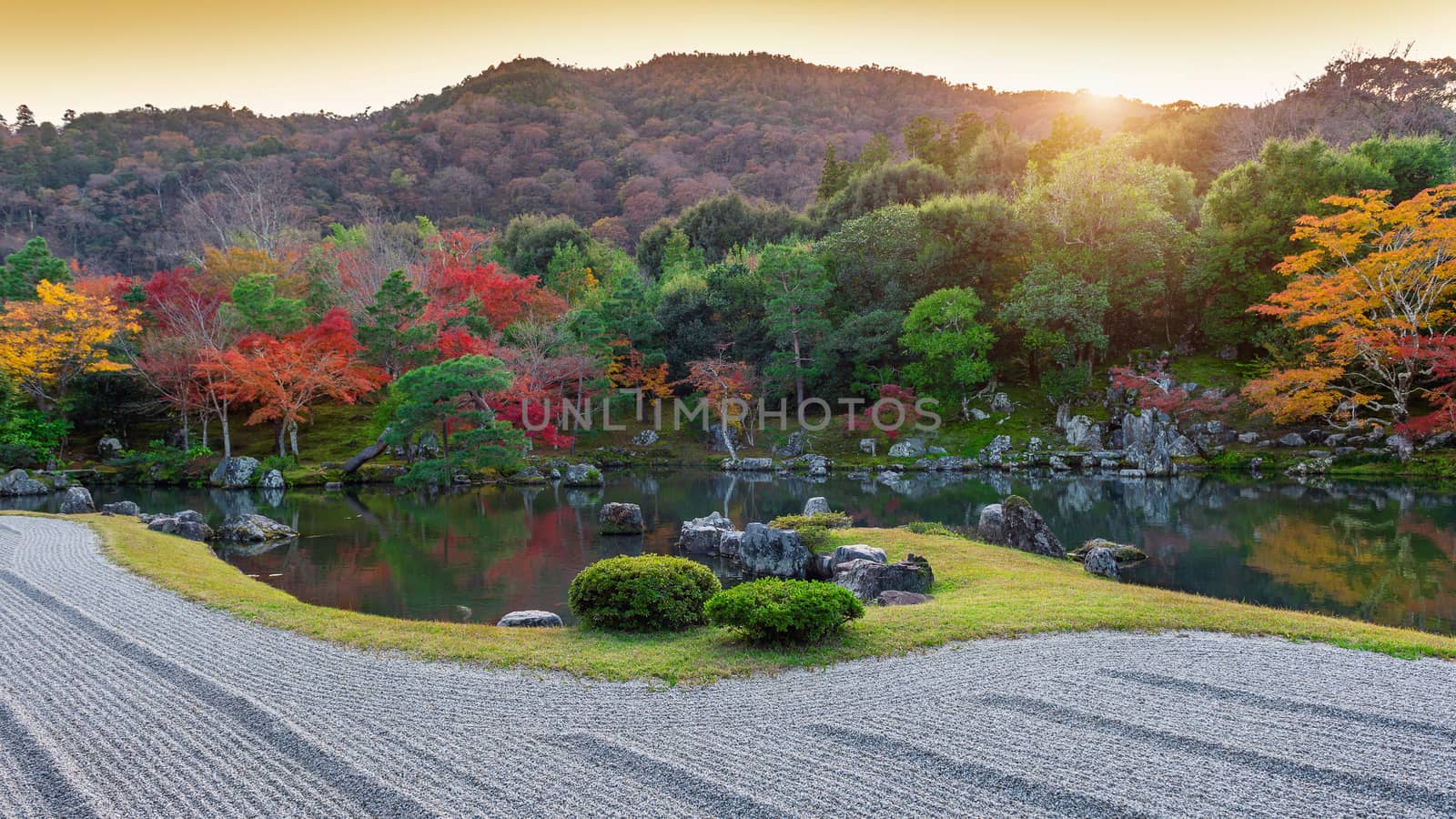 Colorful leaves in autumn park, Japan.