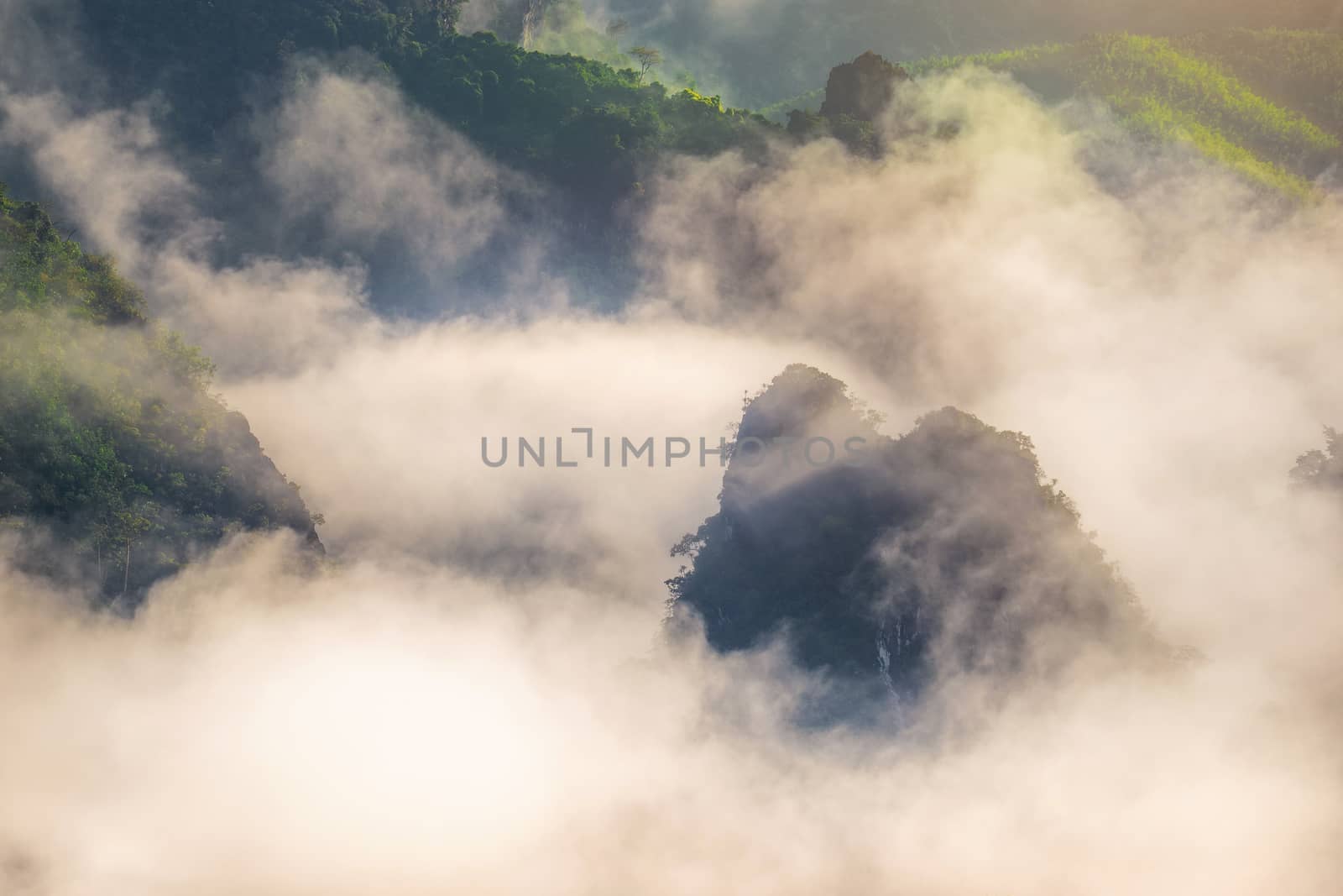 Morning mist over mountains. by gutarphotoghaphy
