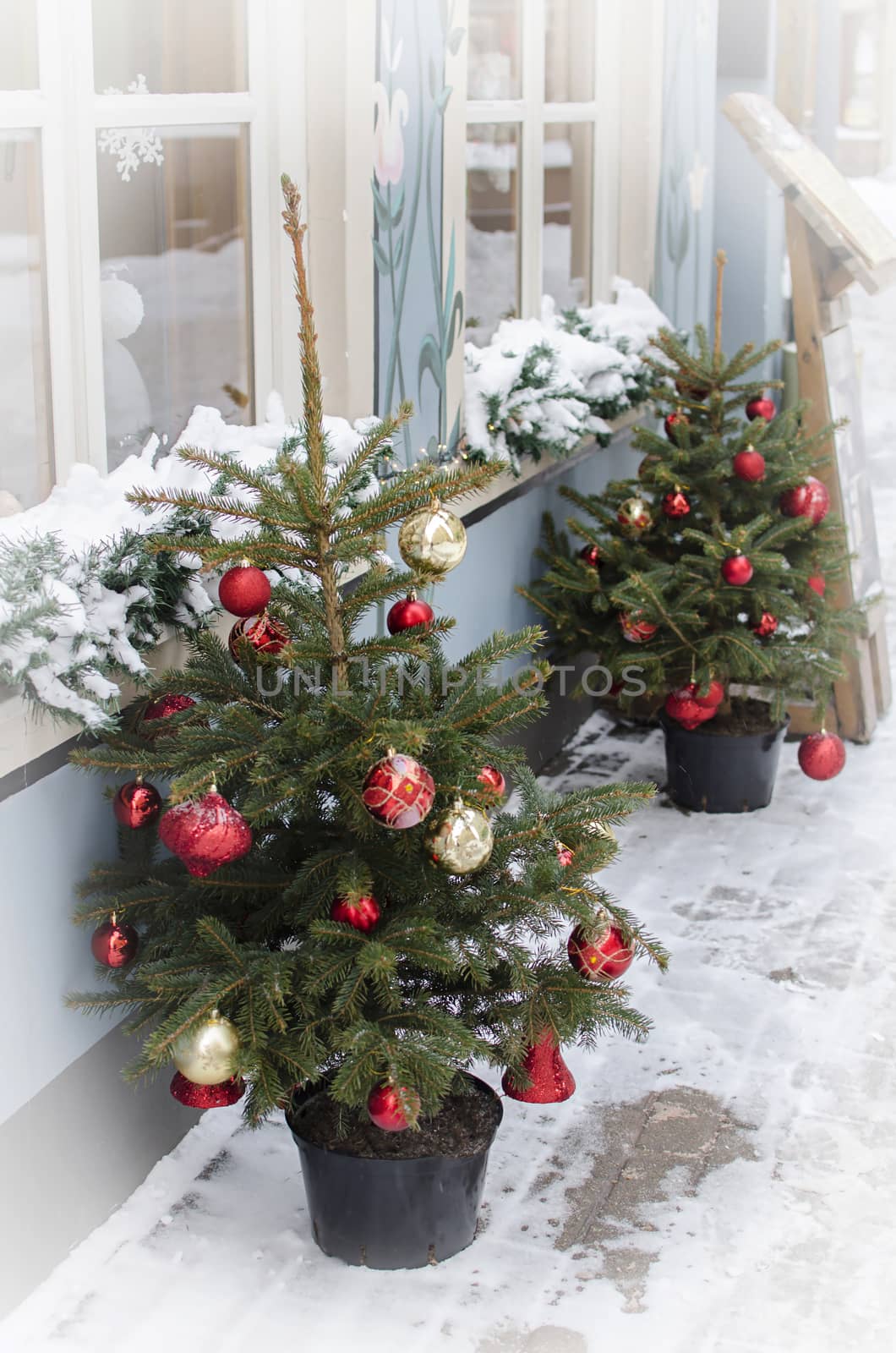 Two Christmas-trees colored balls to decorate the Christmas tree. Decorated Christmas trees in the snow on street.