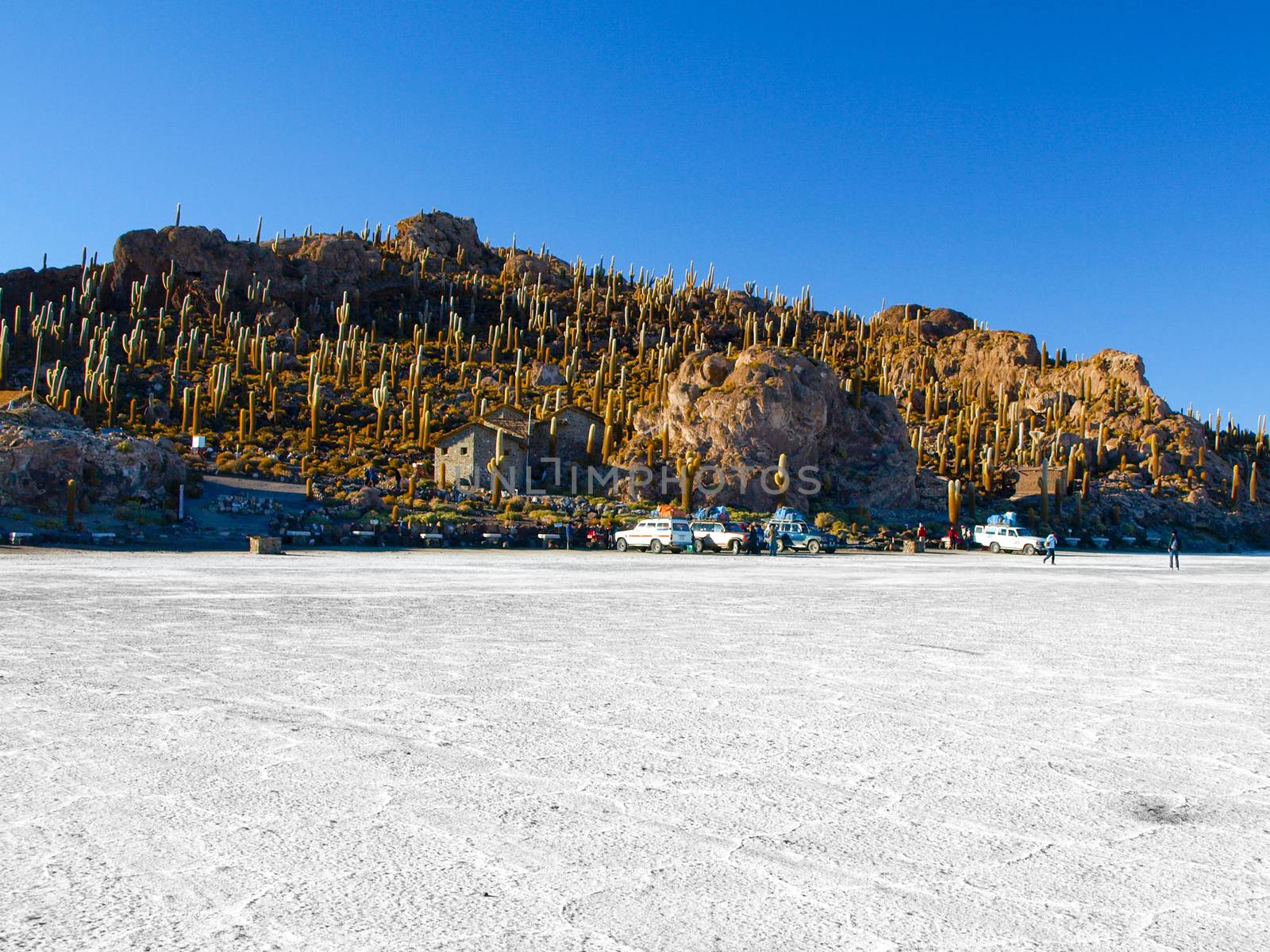 Isla Incahuasi or Isla de los pescadores is an island in the middle of Salar de Uyuni in Bolivia.