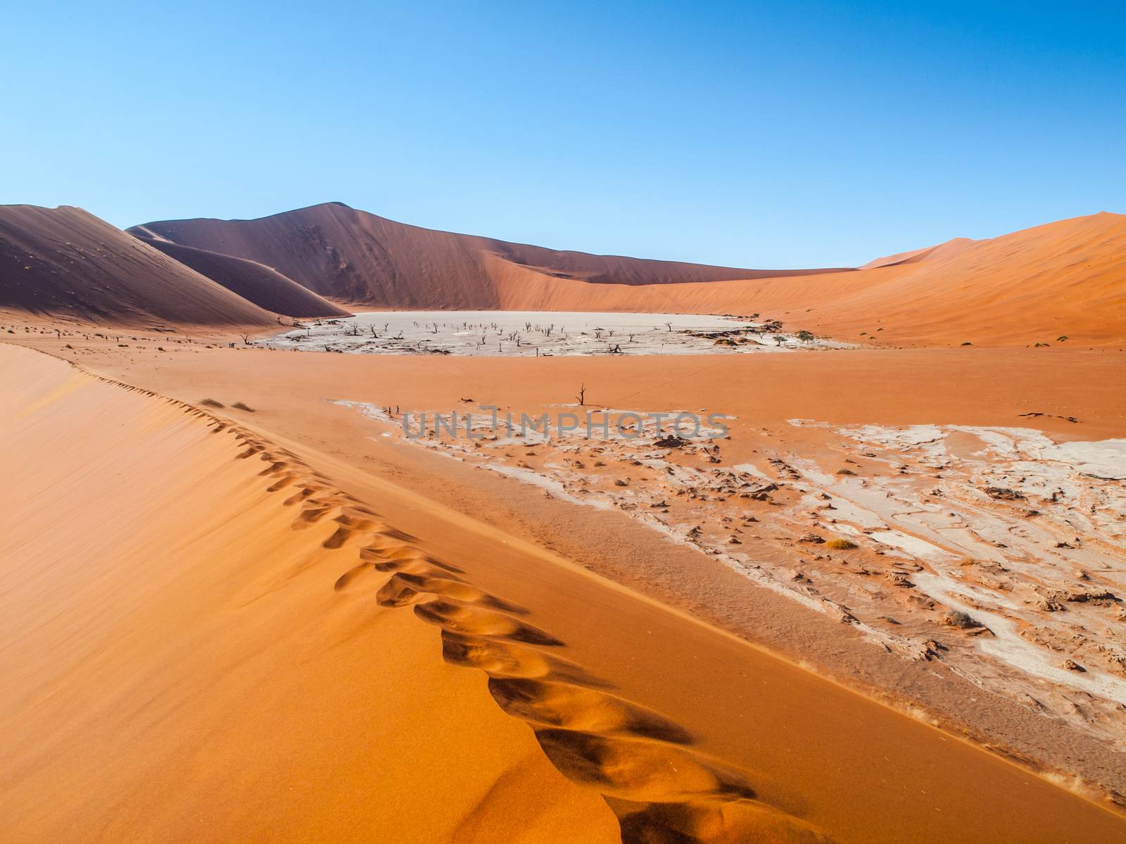 Valley of the Death in namibian Sossusvlei by pyty