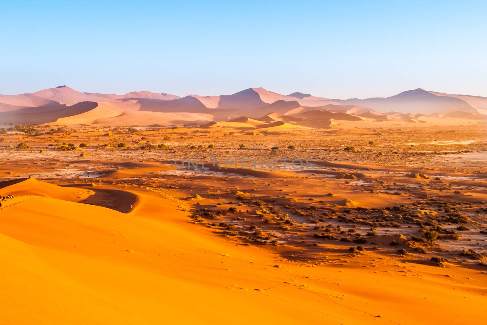 Red dunes of Namib Desert near Sossusvlei, aka Sossus Vlei, Namibia, Africa by pyty
