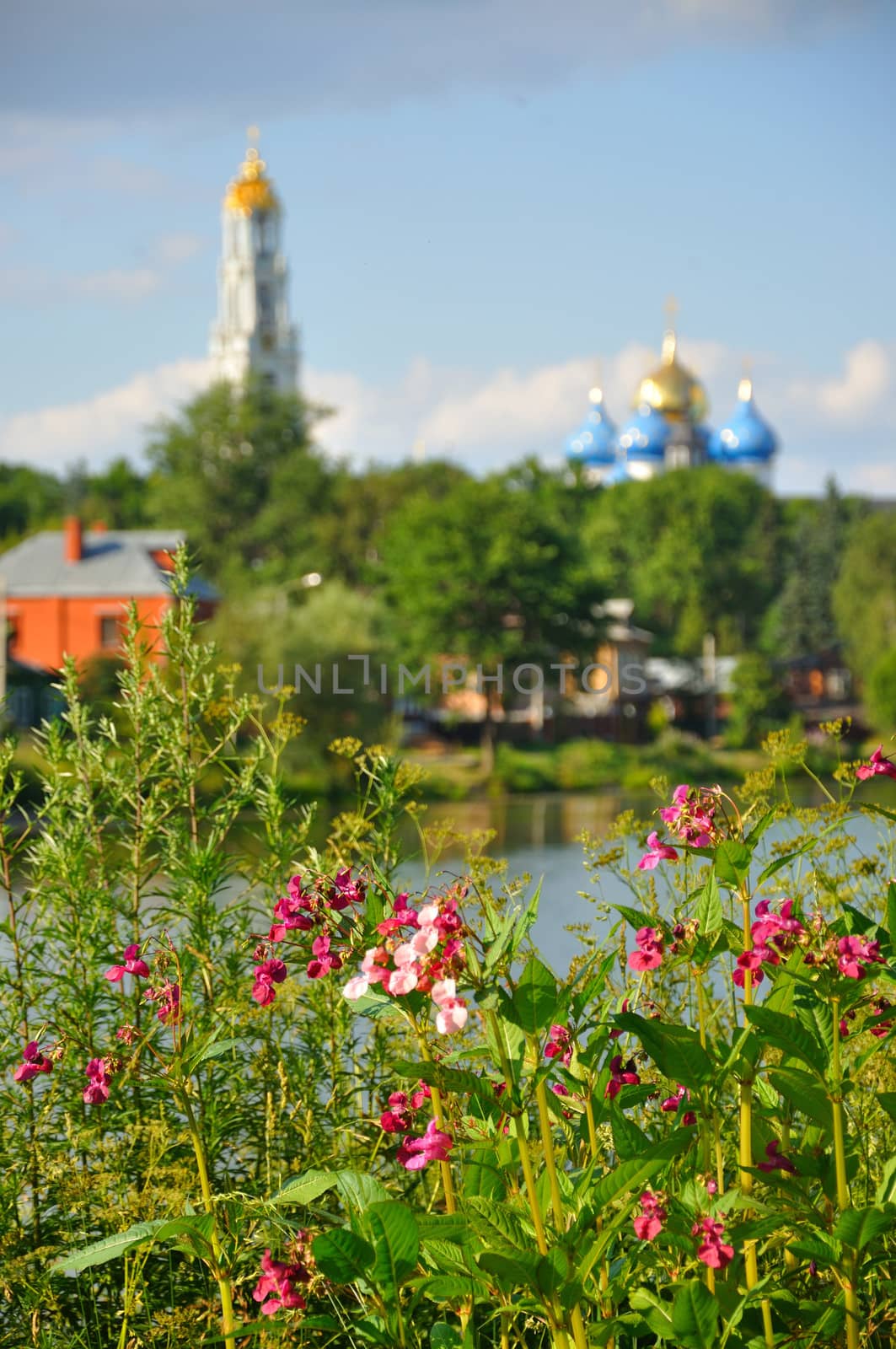 Pink flowers near the lake close-up with orthodox lavra, Sergiev Posad, Moscow regio by Eagle2308