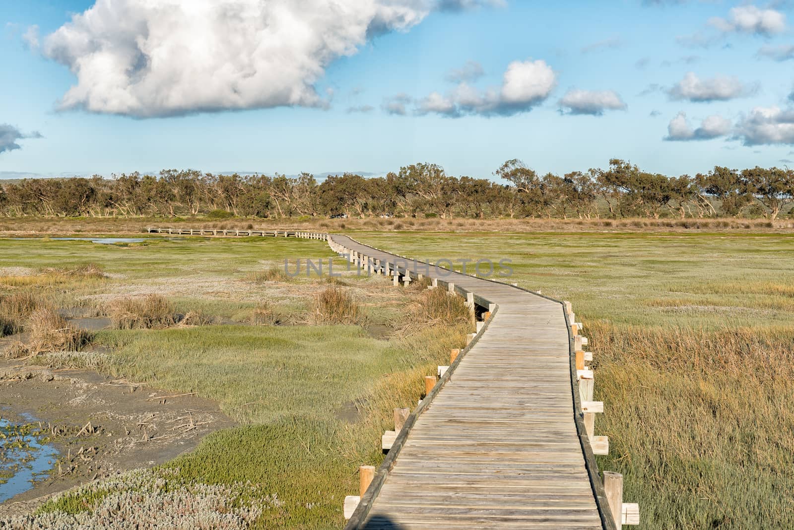 View from the boardwalk to the Geelbek Bird Hide on the Langebaan Lagoon on the Atlantic Ocean coast of the Western Cape Province