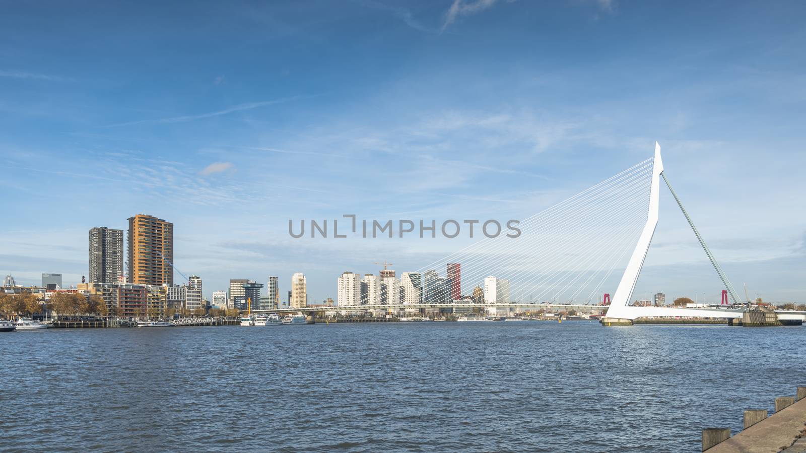 skyline from rotterdam by compuinfoto