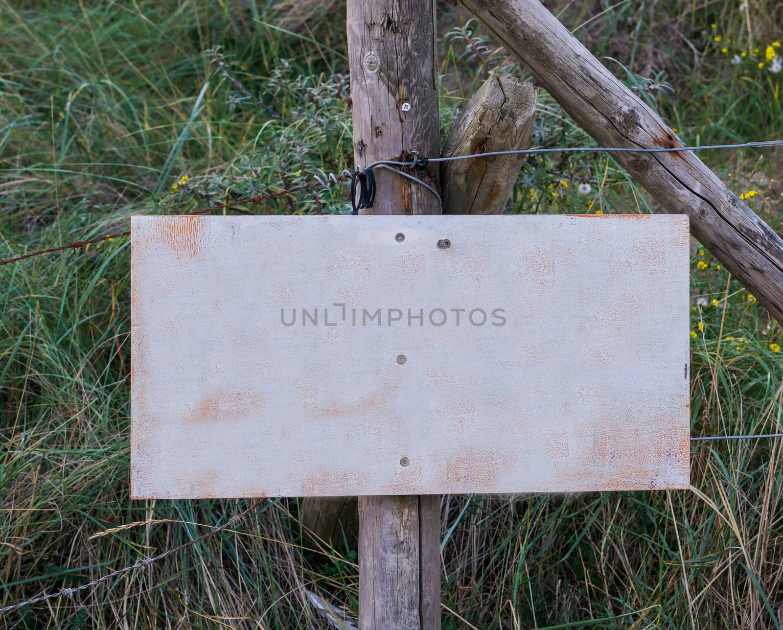 empty blank signboard plate on a pole to put whatever you want in a nature landscape with grass by charlottebleijenberg
