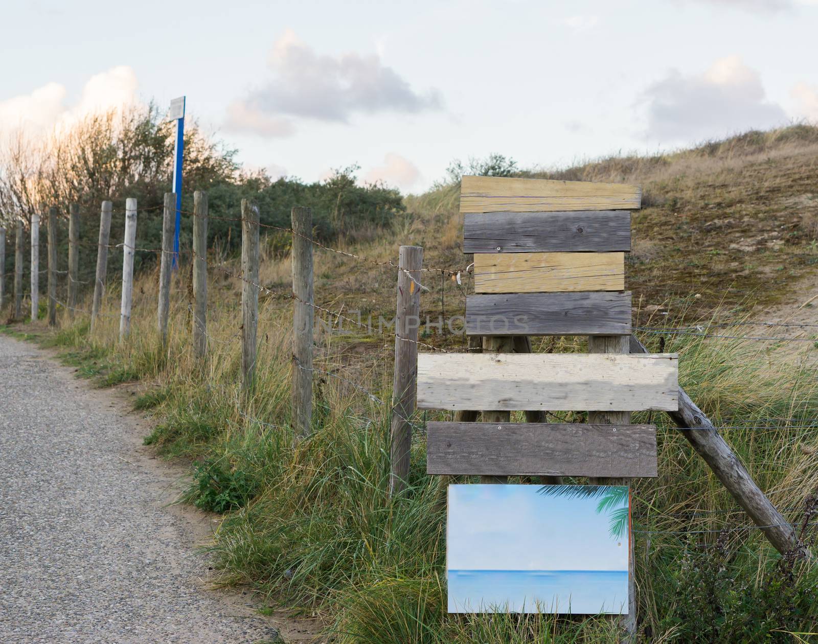 wooden empty blank way pointers and sign boards to put your text in with green grass a fence and a road on the background