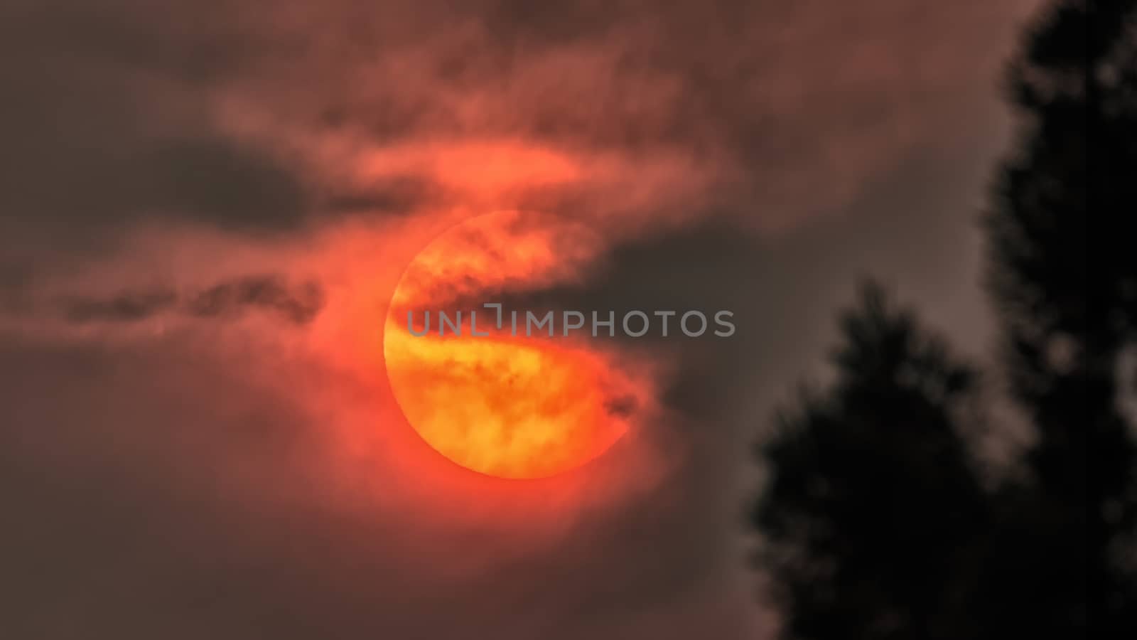 The Sun Obscured by Wildfire Smoke, Humboldt County, California by backyard_photography