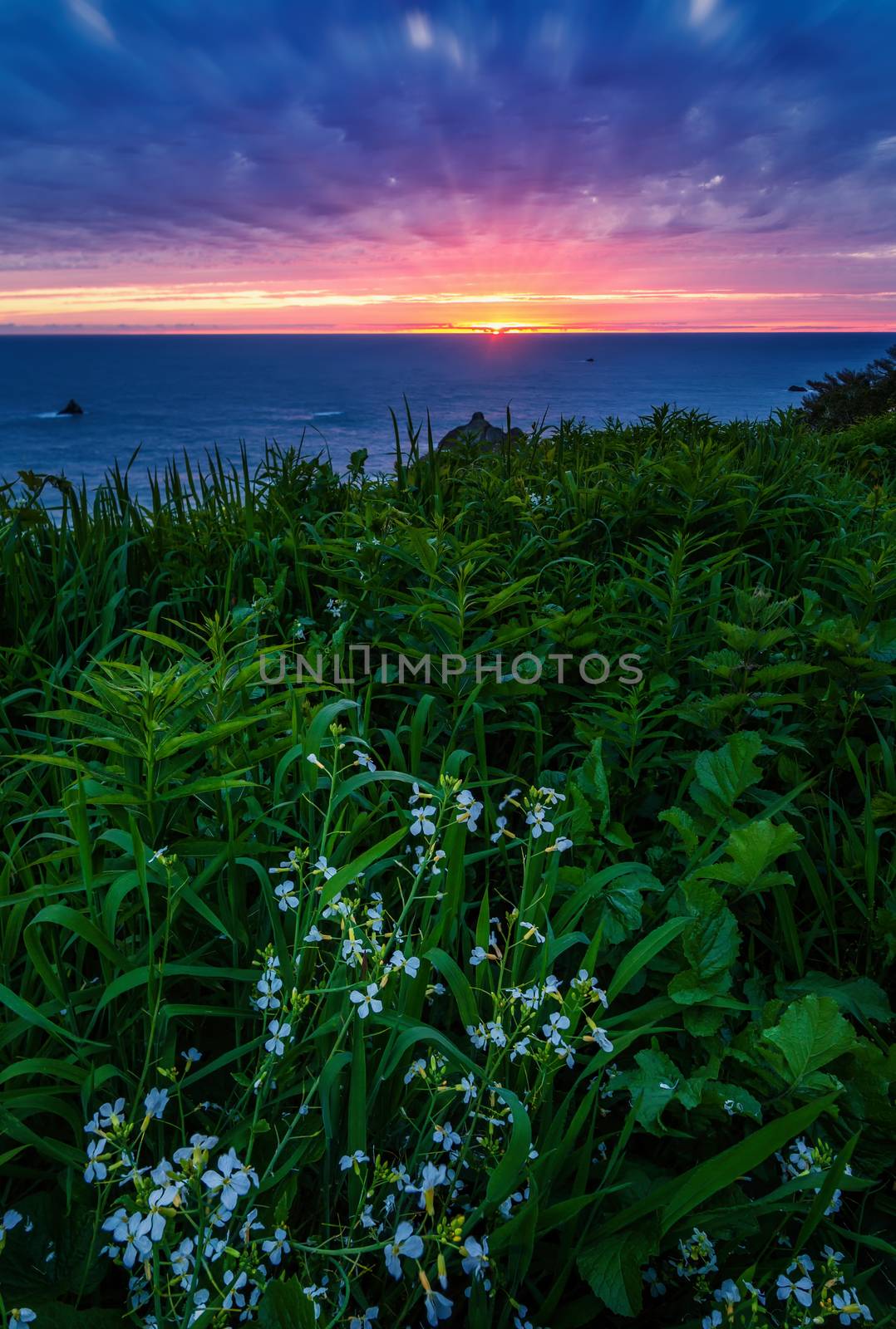 A Seascape Sunset in Humboldt County, California by backyard_photography