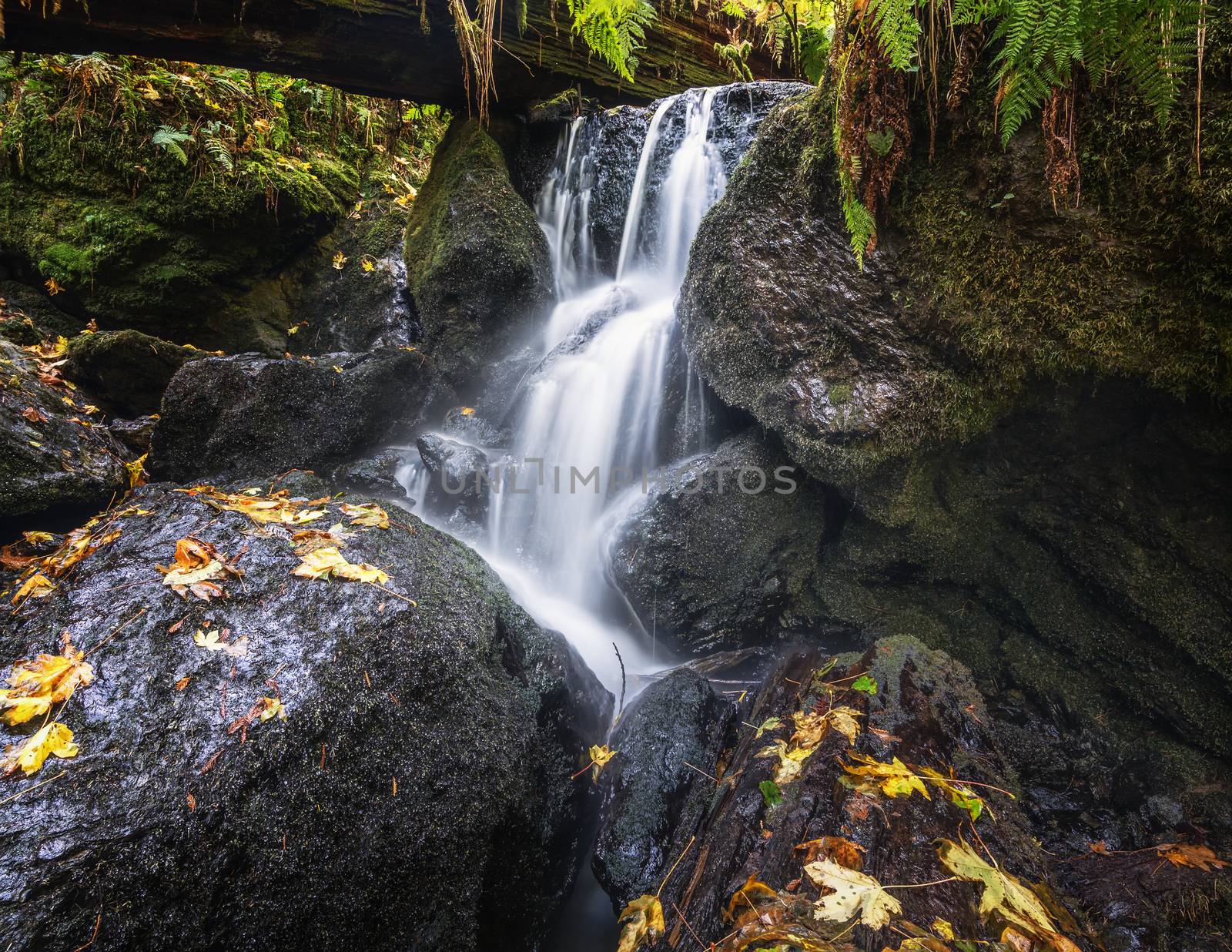 A Small Waterfall in the Mountains of California by backyard_photography