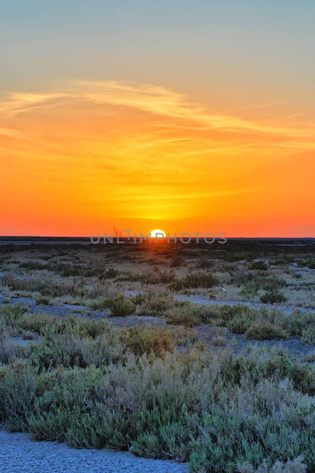 Beautiful sunset on salt lake Chott el Djerid, Sahara desert, Tunisia, Africa, HDR