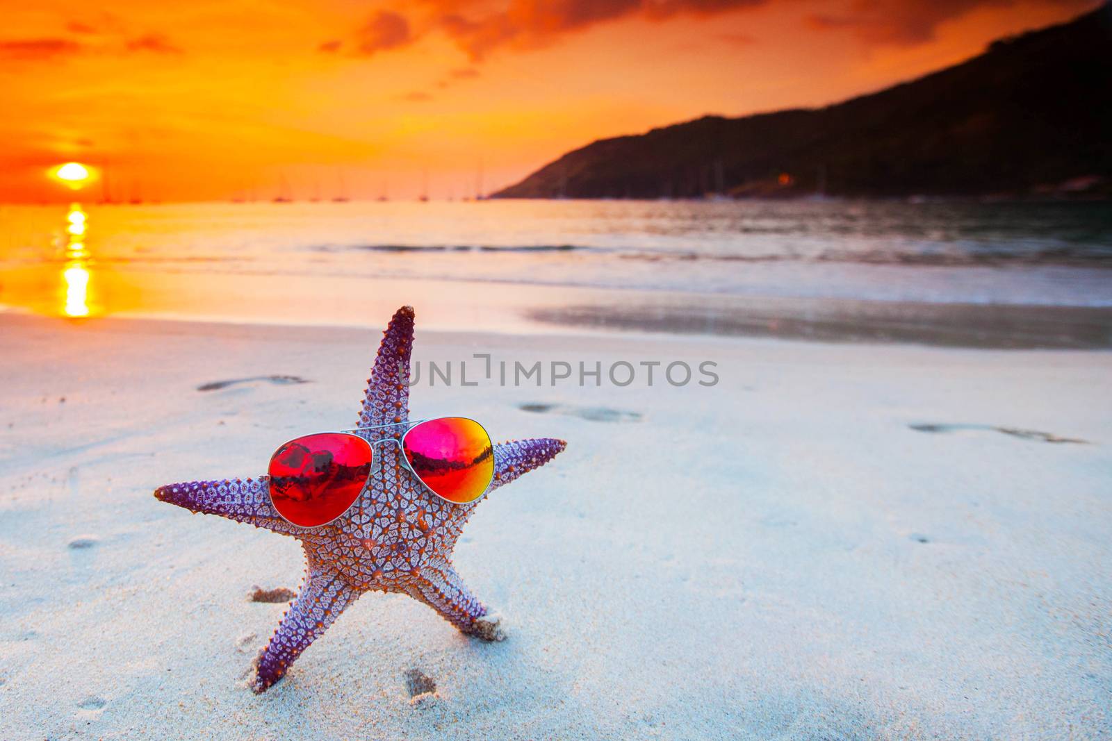 Starfish in sunglasses on sea beach at sunset, Bali, Seminyak, Double six beach
