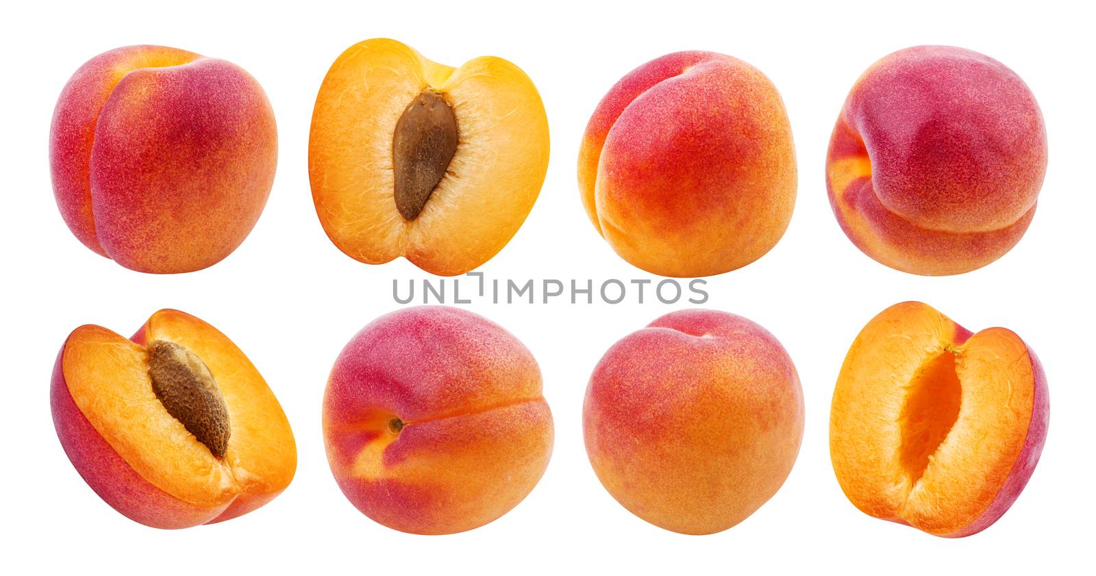 Apricot isolated. Collection of apricots isolated on white background by xamtiw