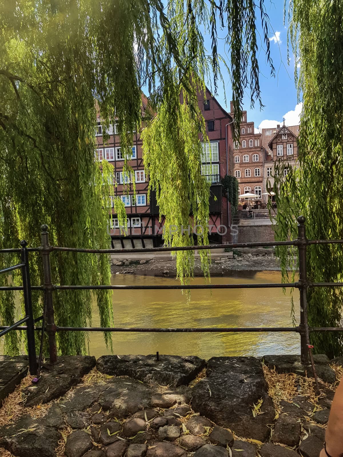 The river Ilmenau with weeping willows by JFsPic