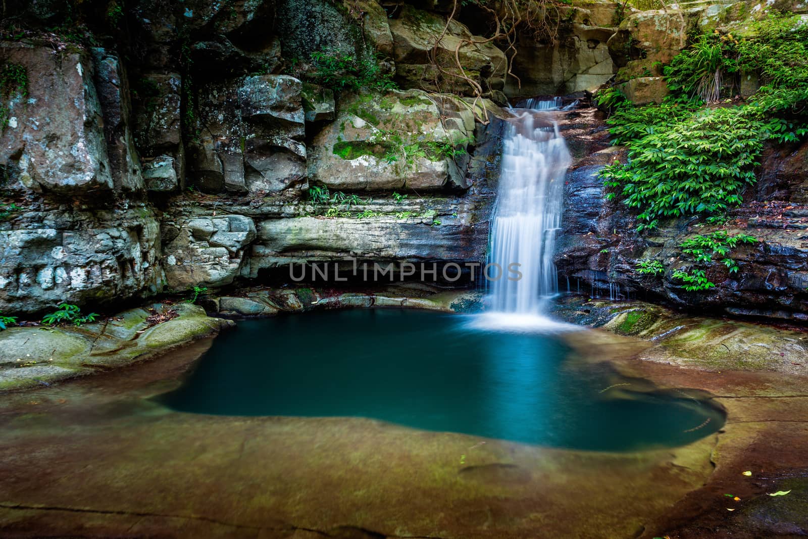 Waterfall into an idyllic rock pool deep in the wilderness