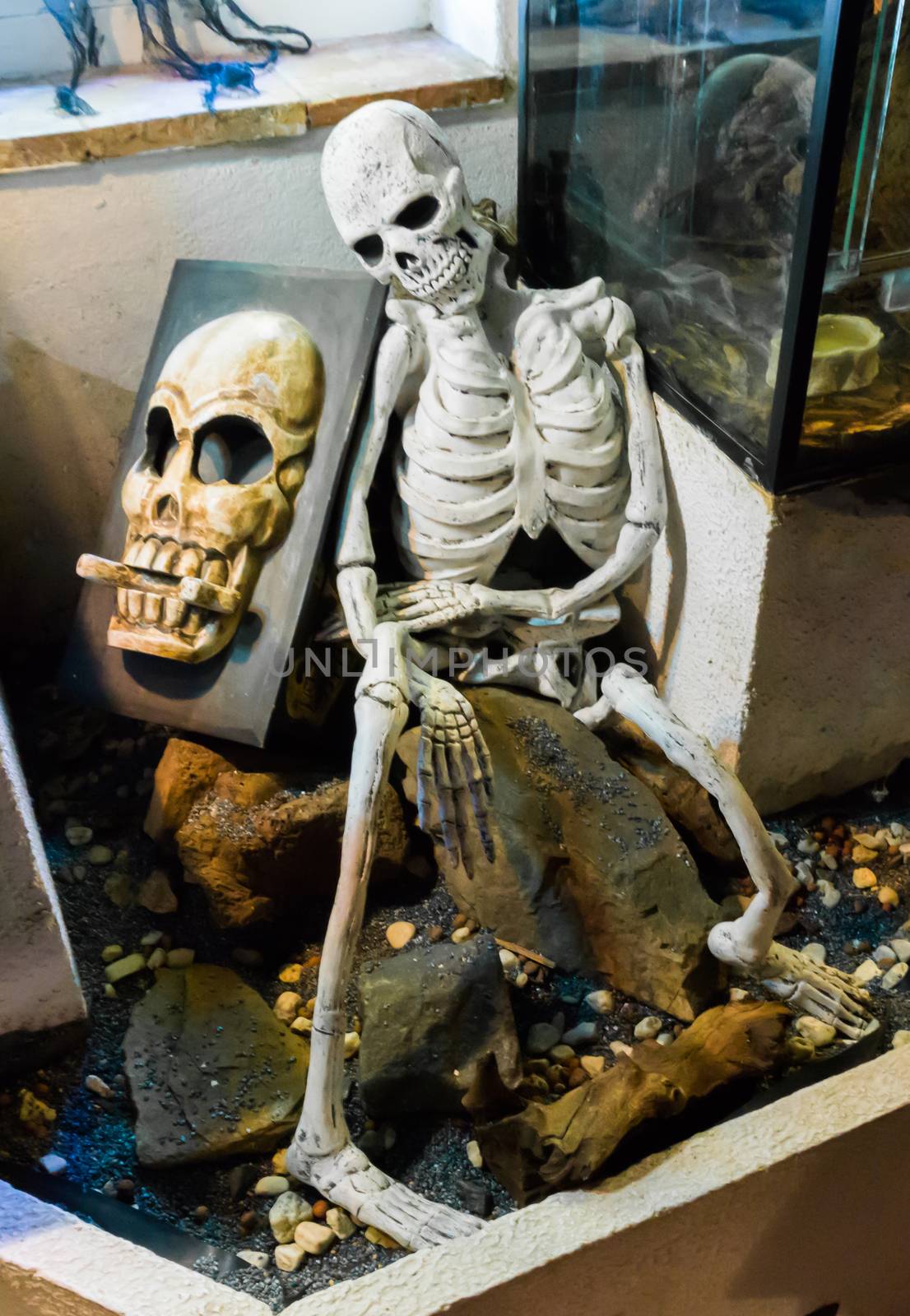 Halloween creepy human skeleton sitting on a stone rock with a spooky skull on a rock behind him